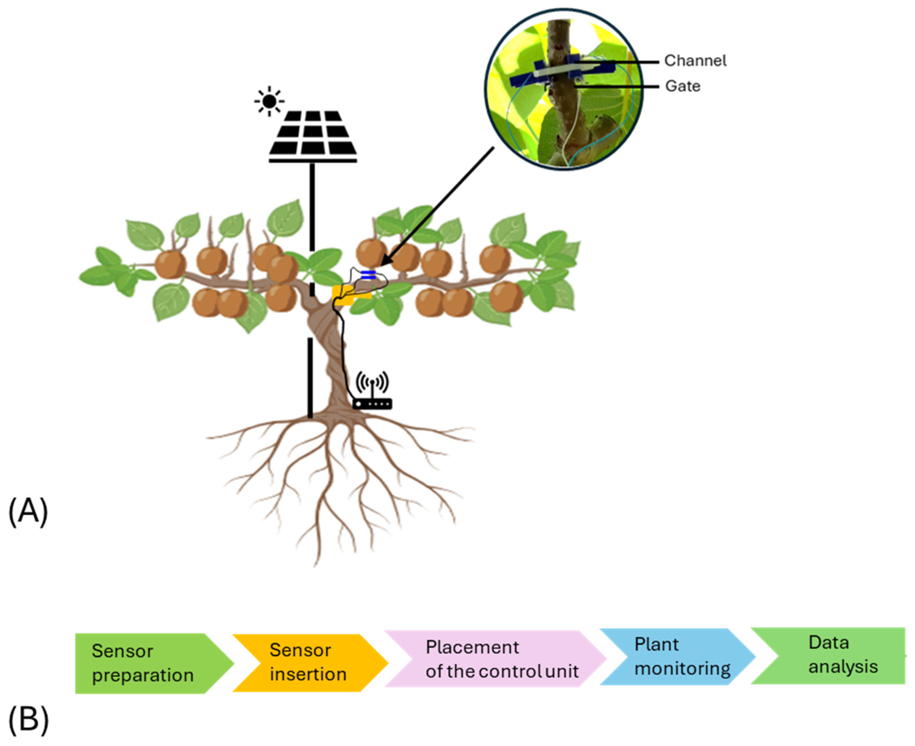 Biosensors 14 00226 g001