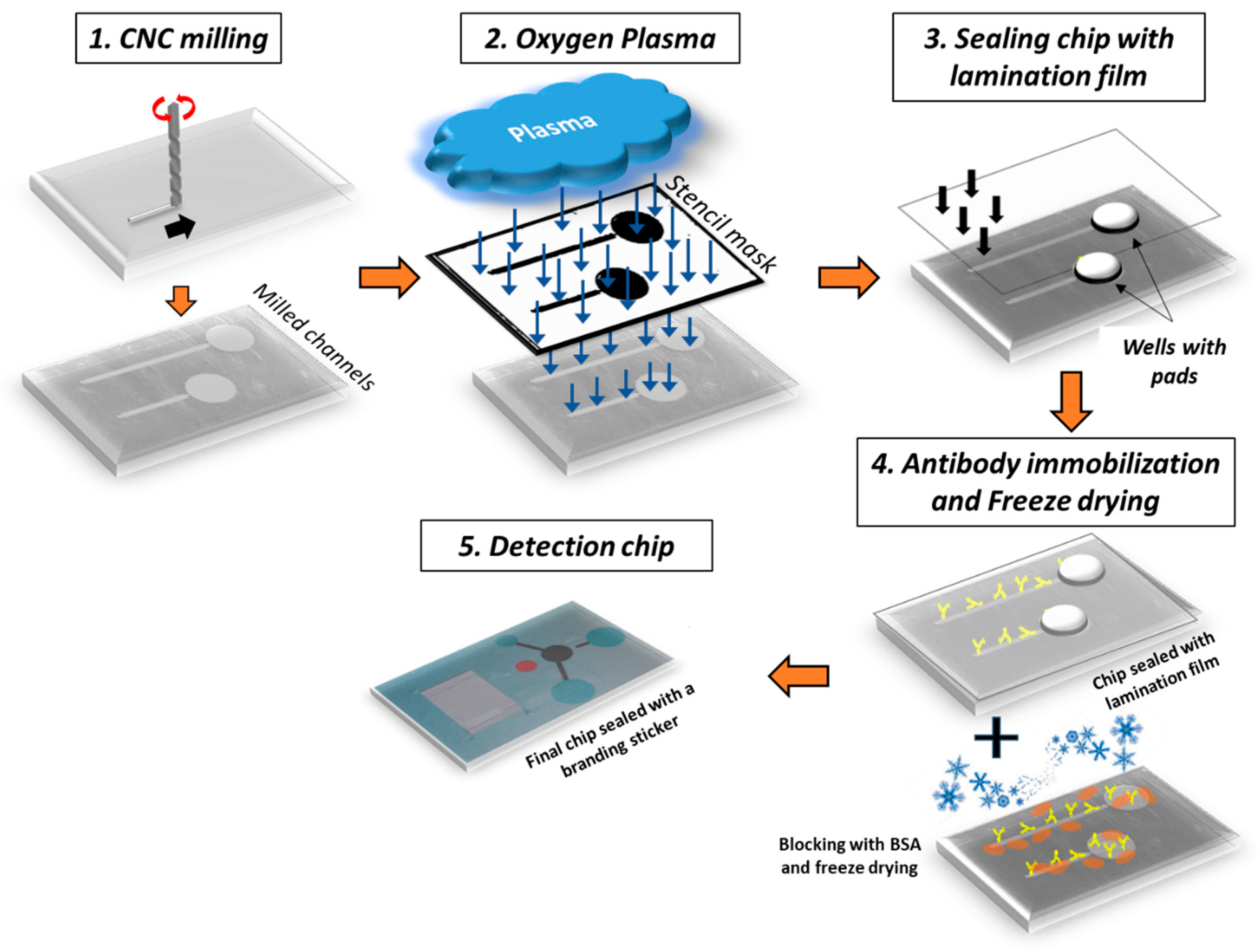 Biosensors 14 00228 g001