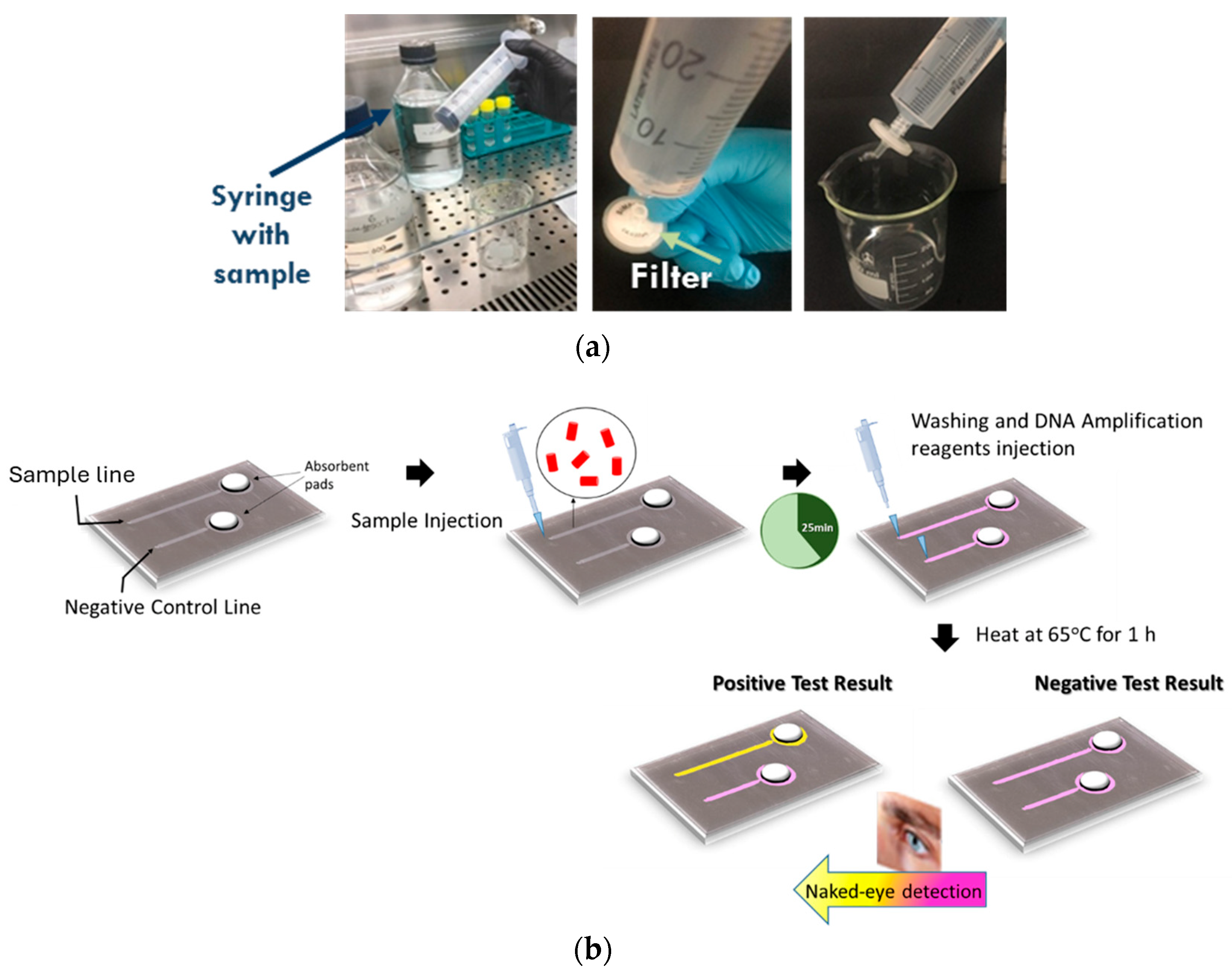 Biosensors 14 00228 g002