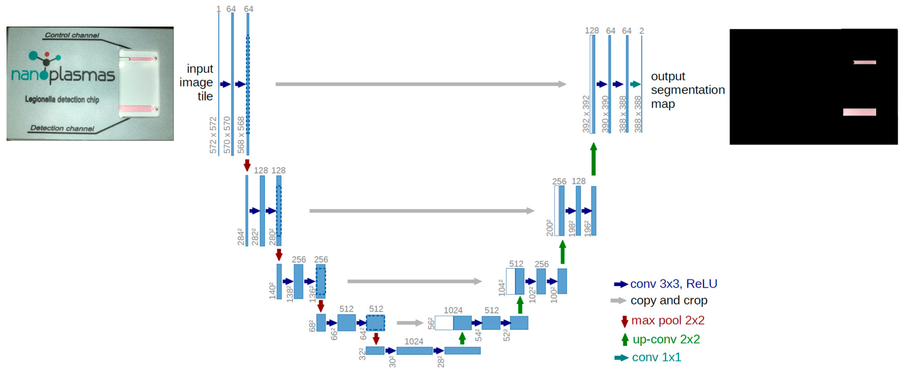 Biosensors 14 00228 g003