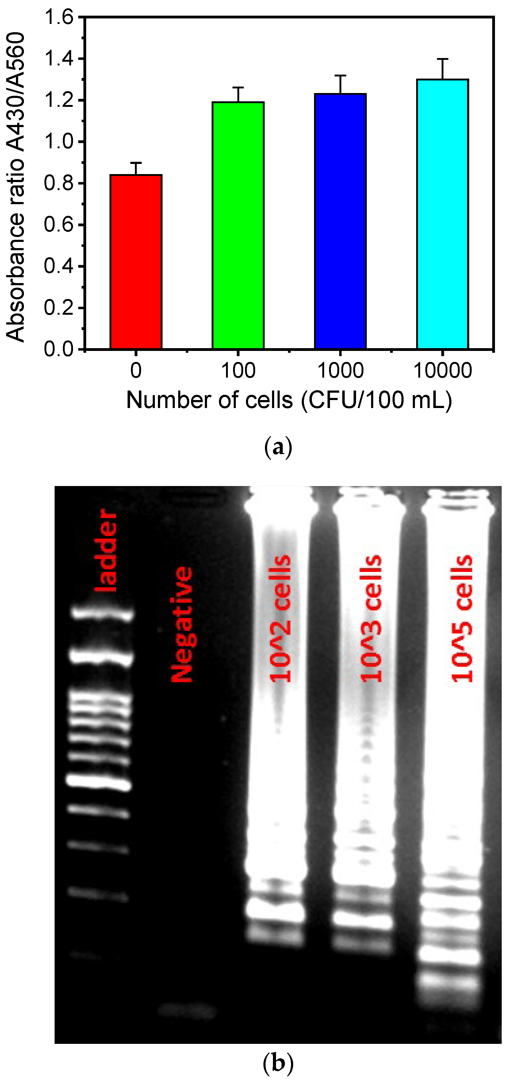 Biosensors 14 00228 g007