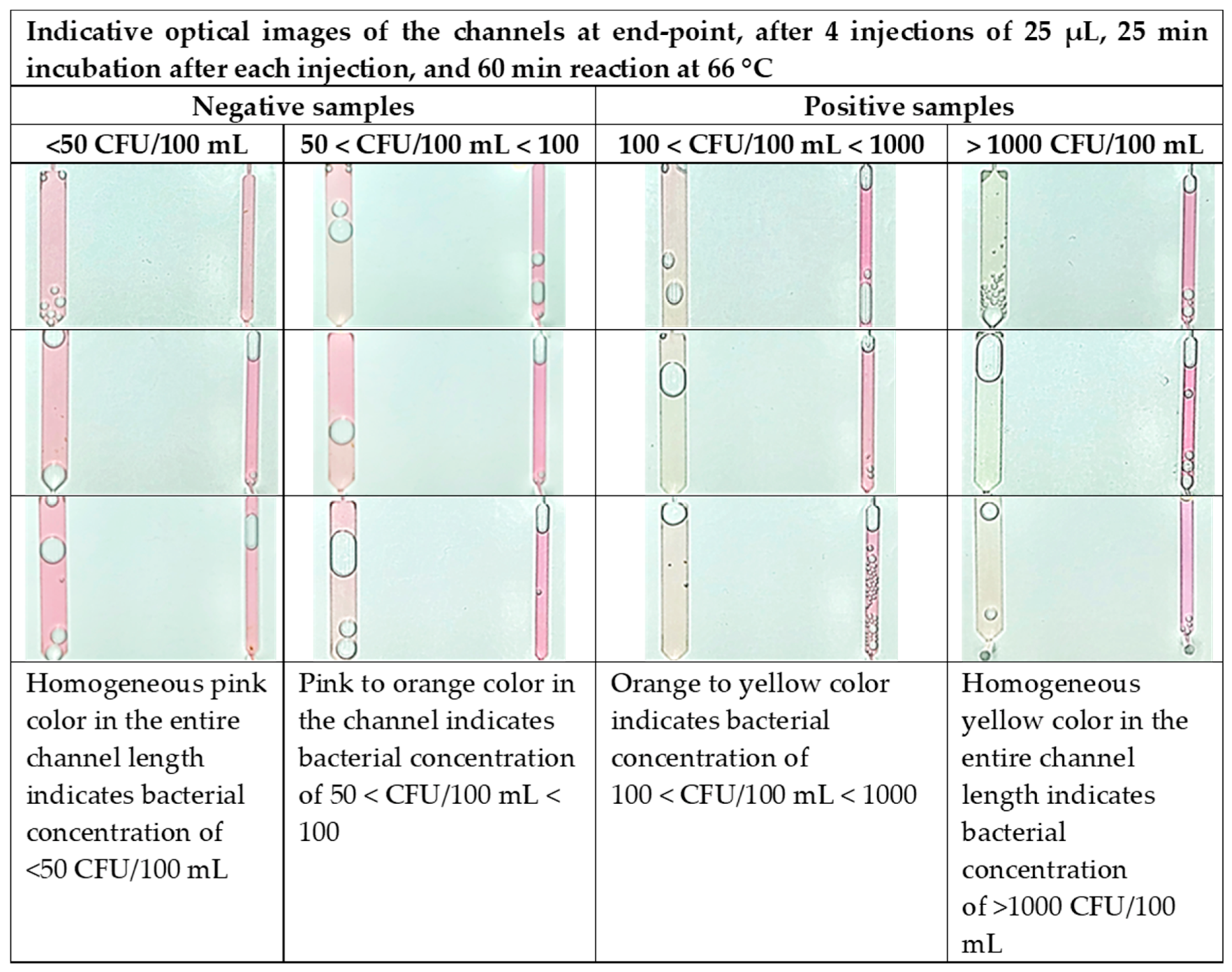 Biosensors 14 00228 g008