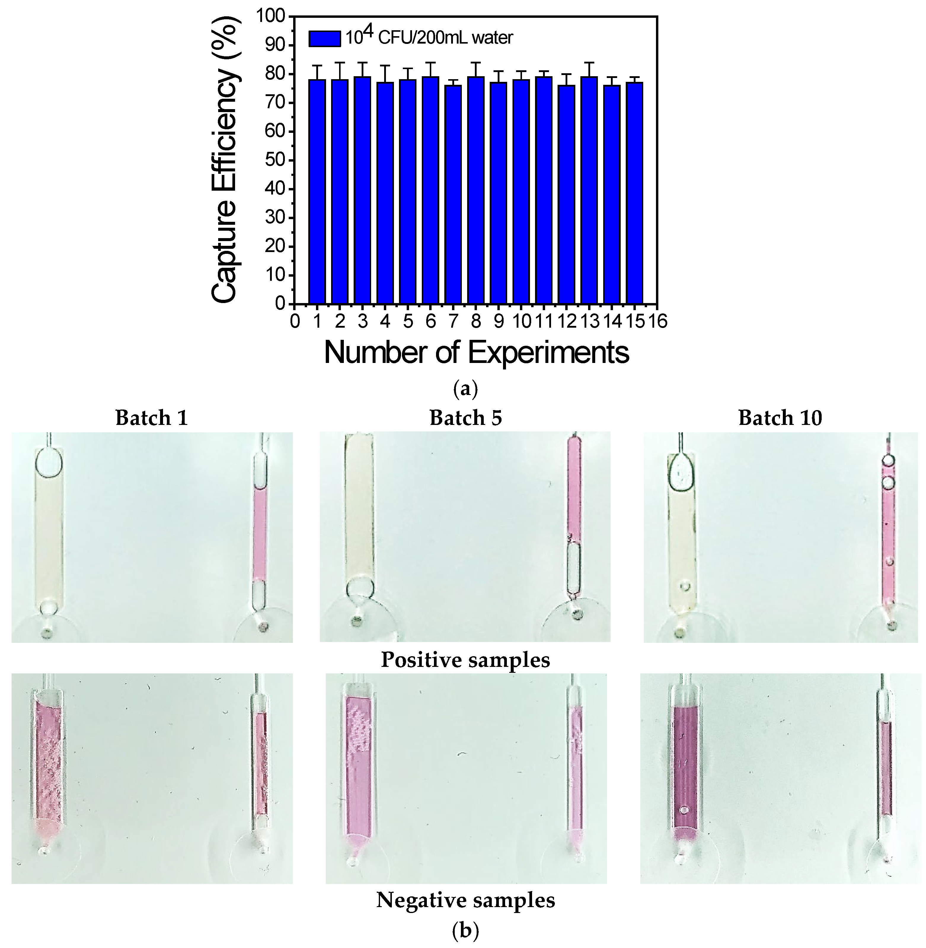 Biosensors 14 00228 g009