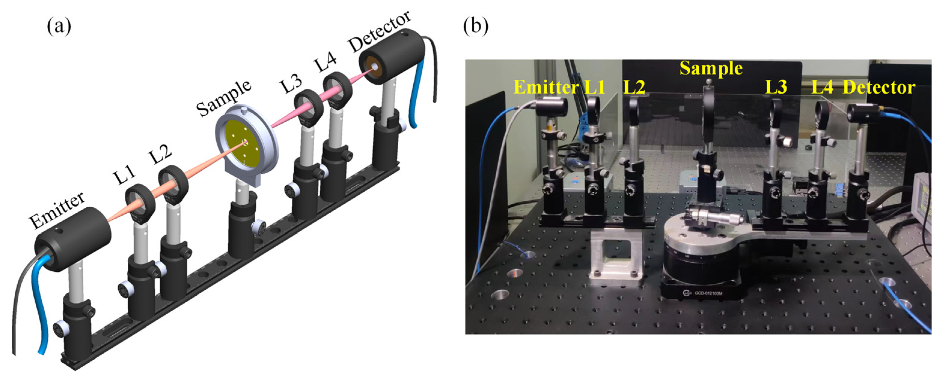 Biosensors 14 00230 g006