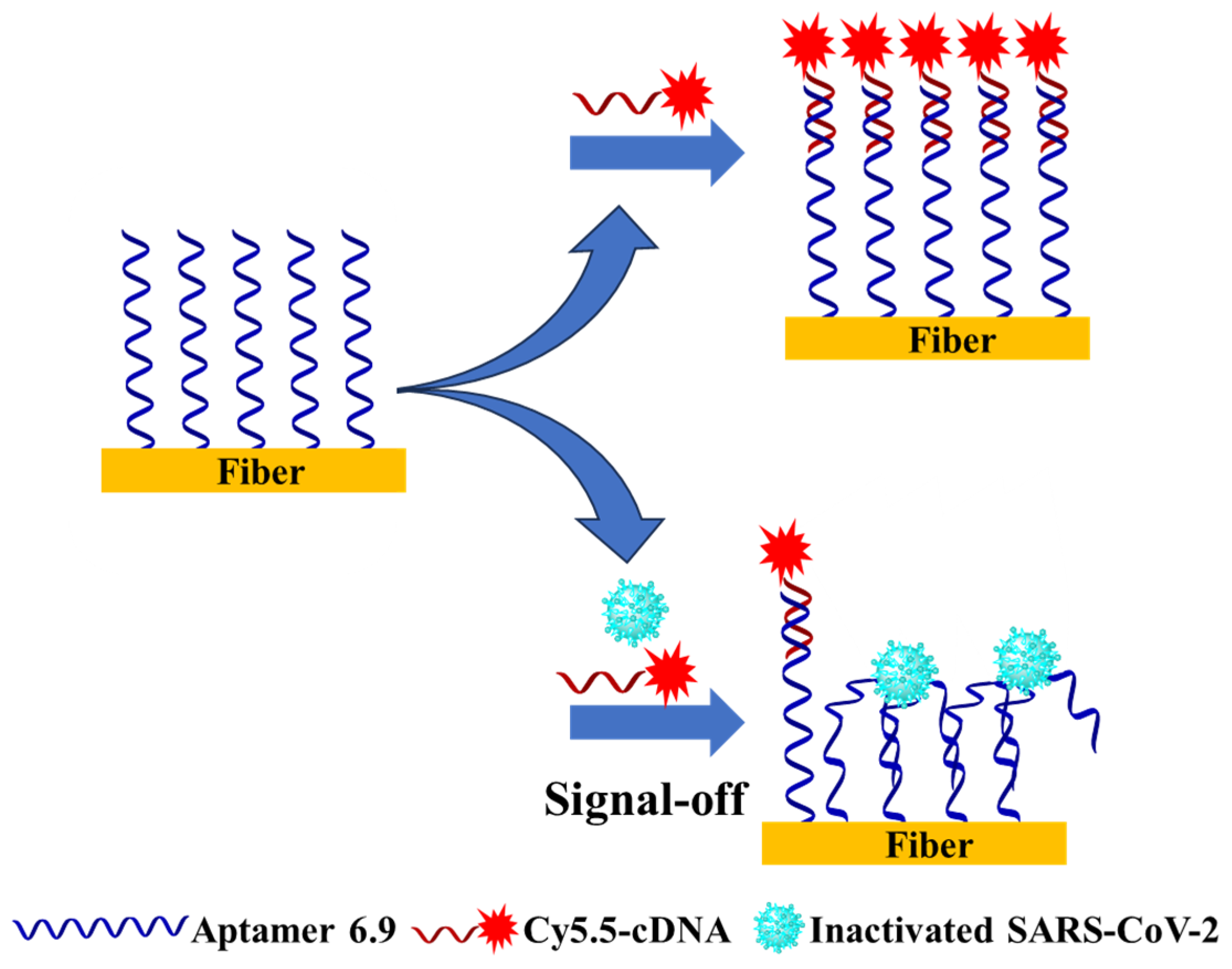 Biosensors 14 00231 g002