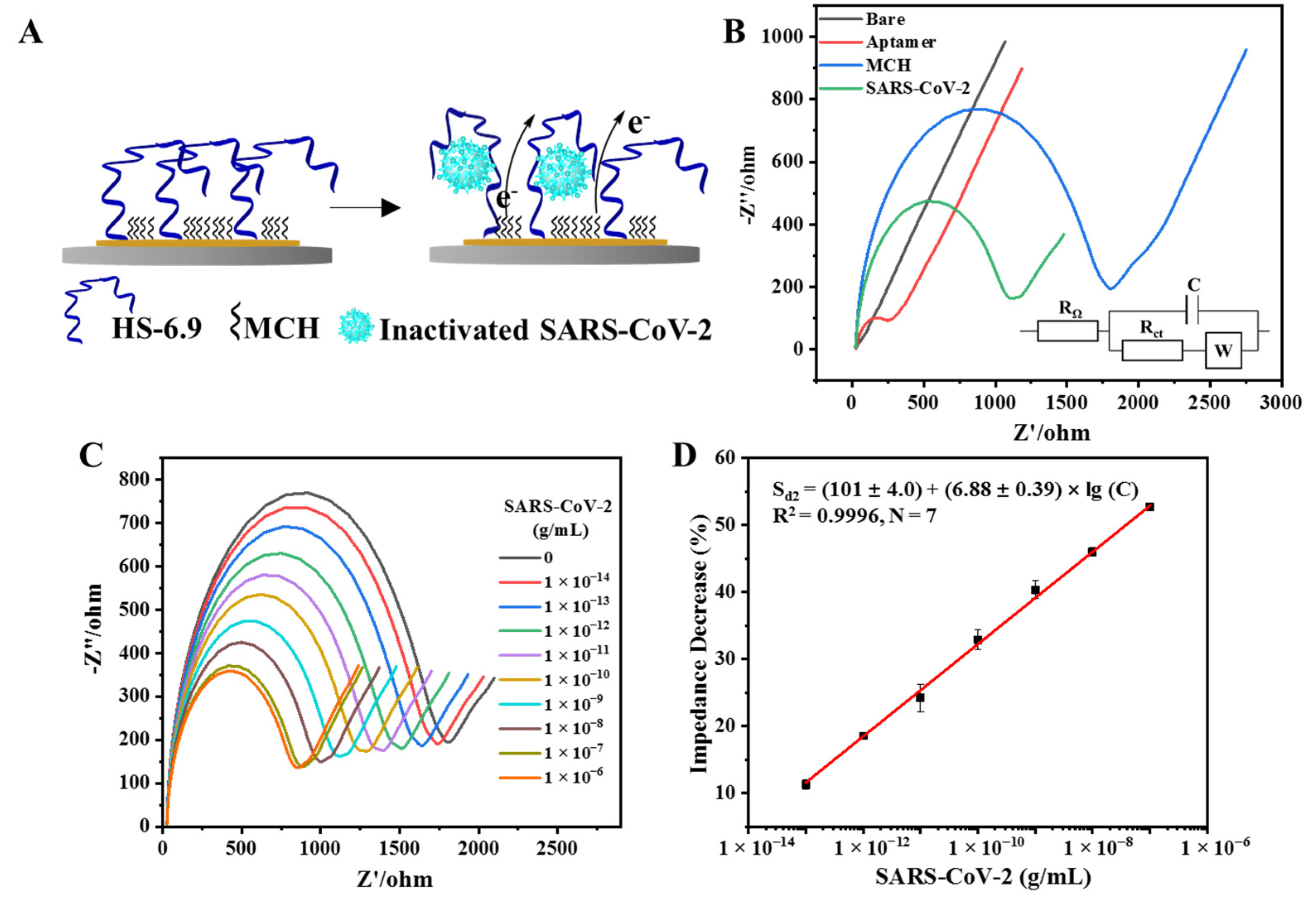 Biosensors 14 00231 g005