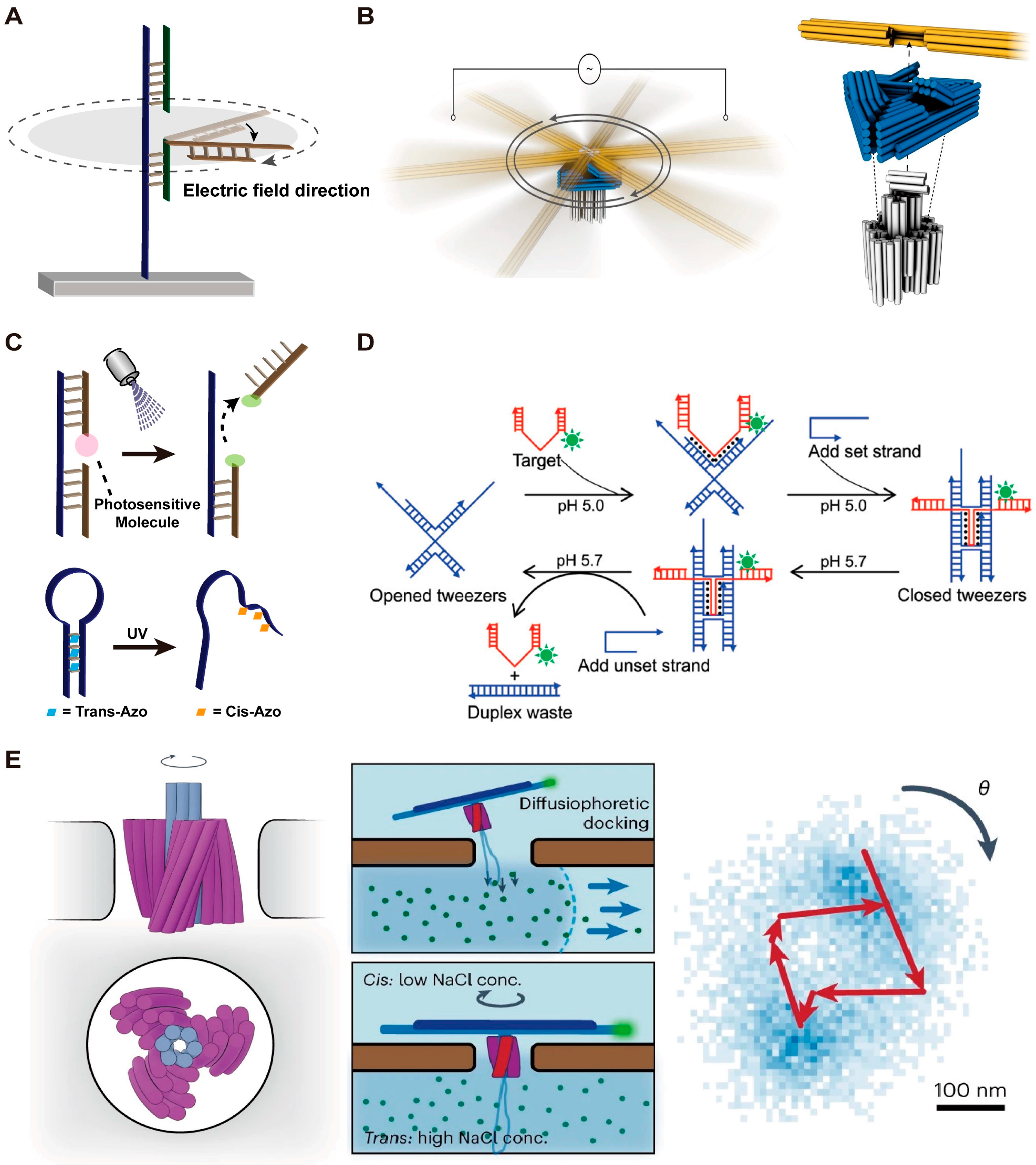 Biosensors 14 00236 g003