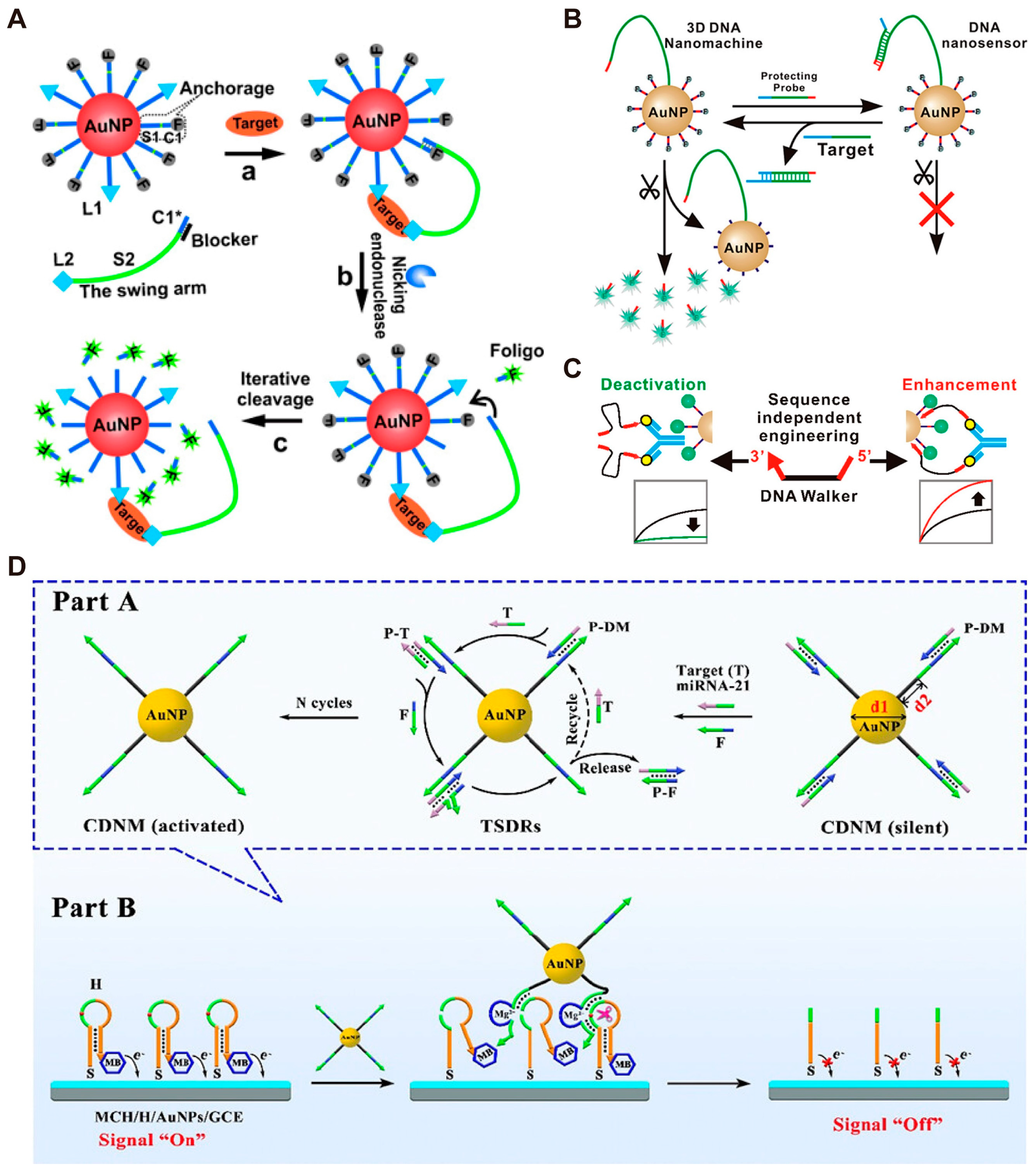 Biosensors 14 00236 g004
