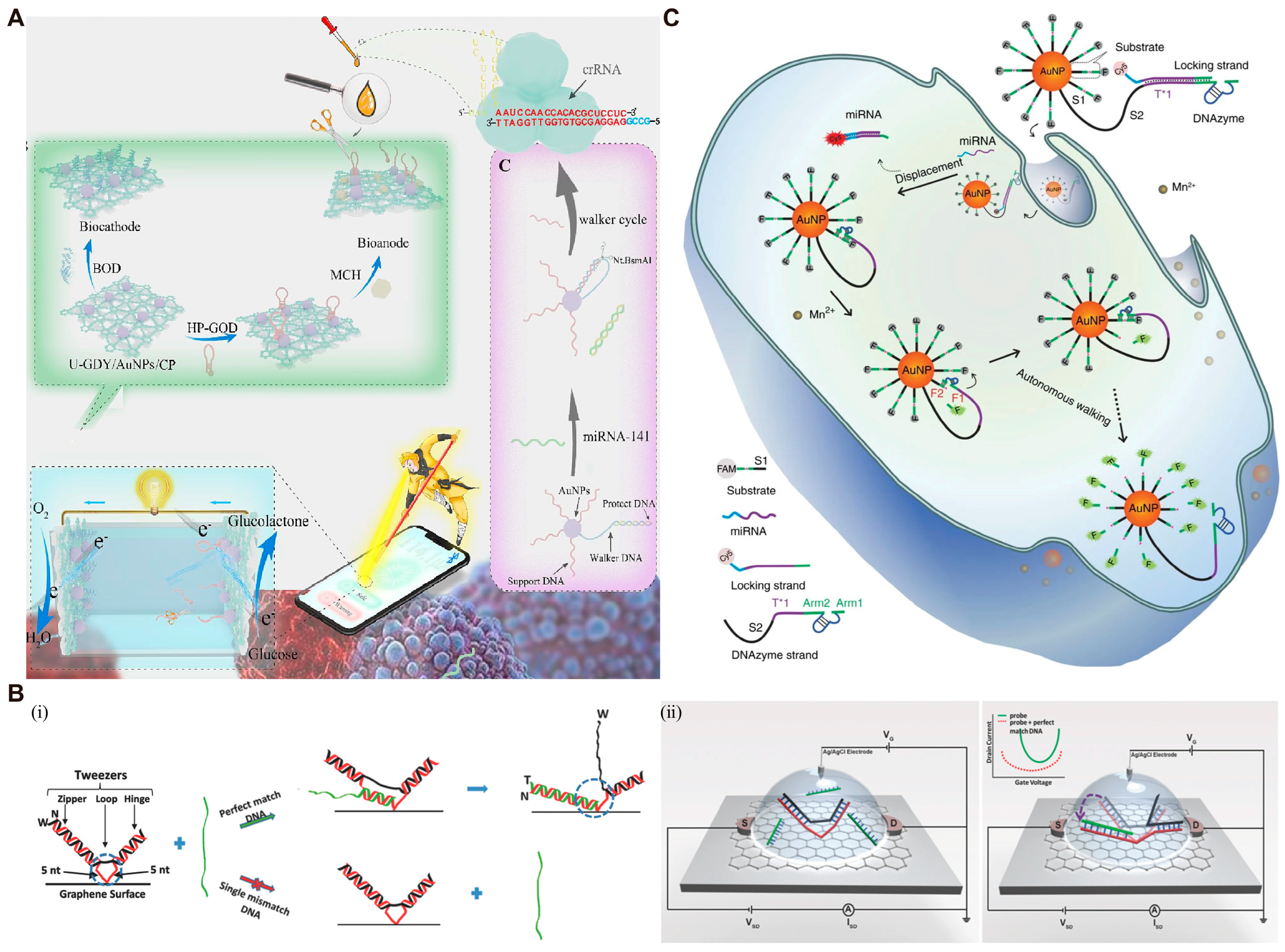 Biosensors 14 00236 g008