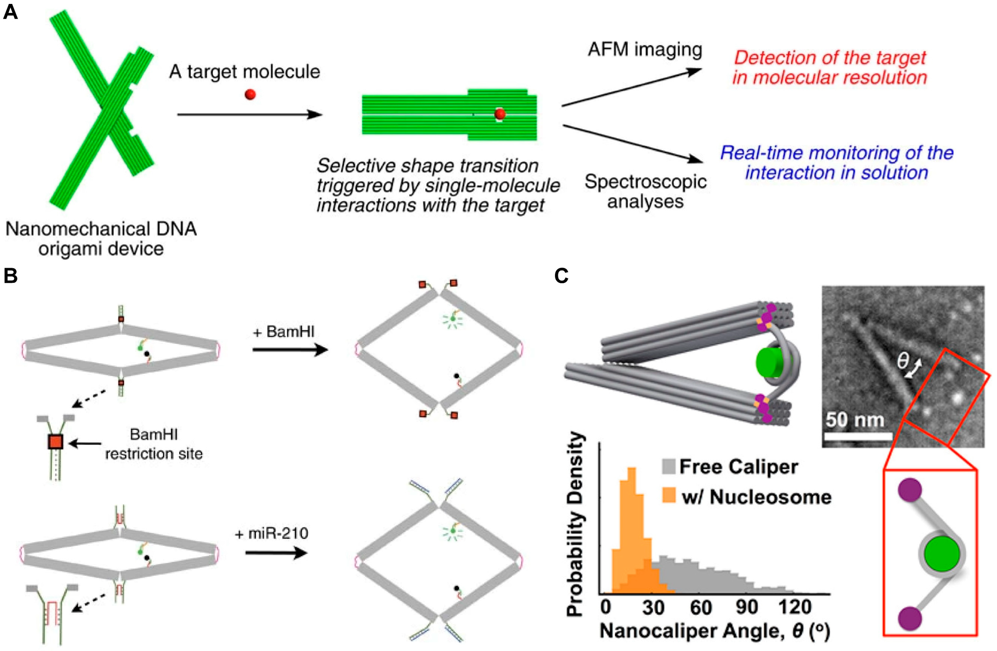 Biosensors 14 00236 g010