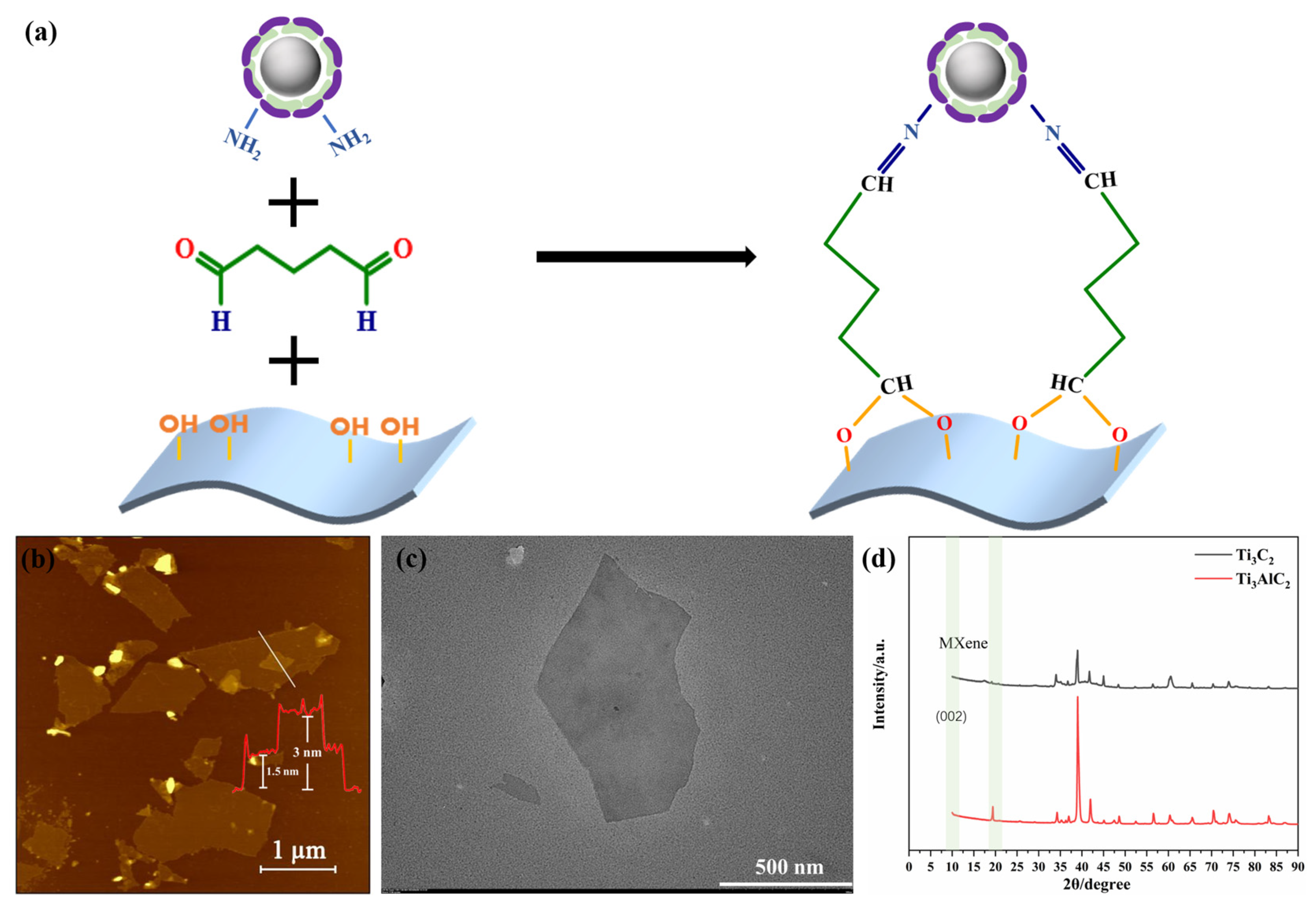 Biosensors 14 00258 g001