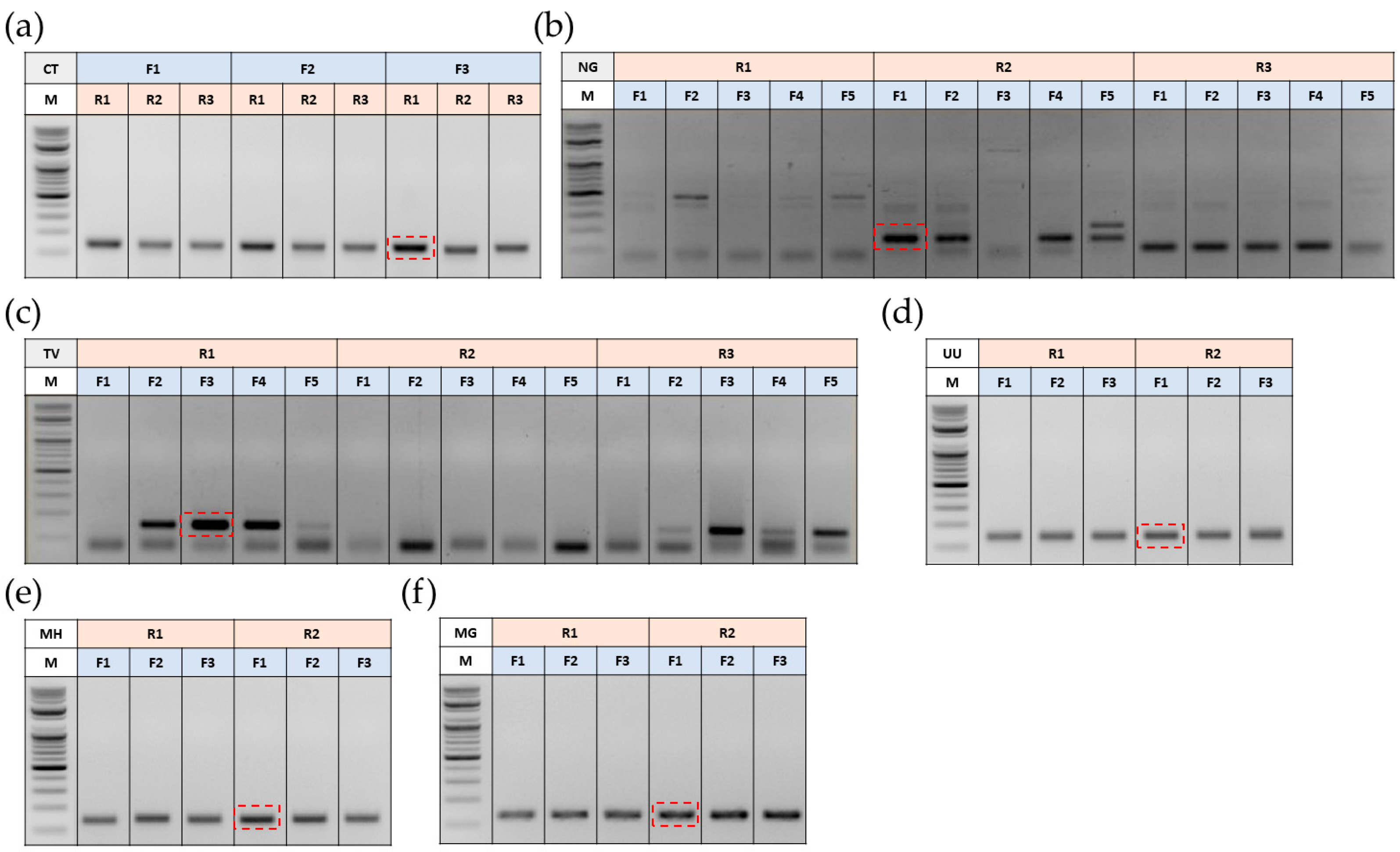 Biosensors 14 00260 g001 Biosensors 14 00260 g001