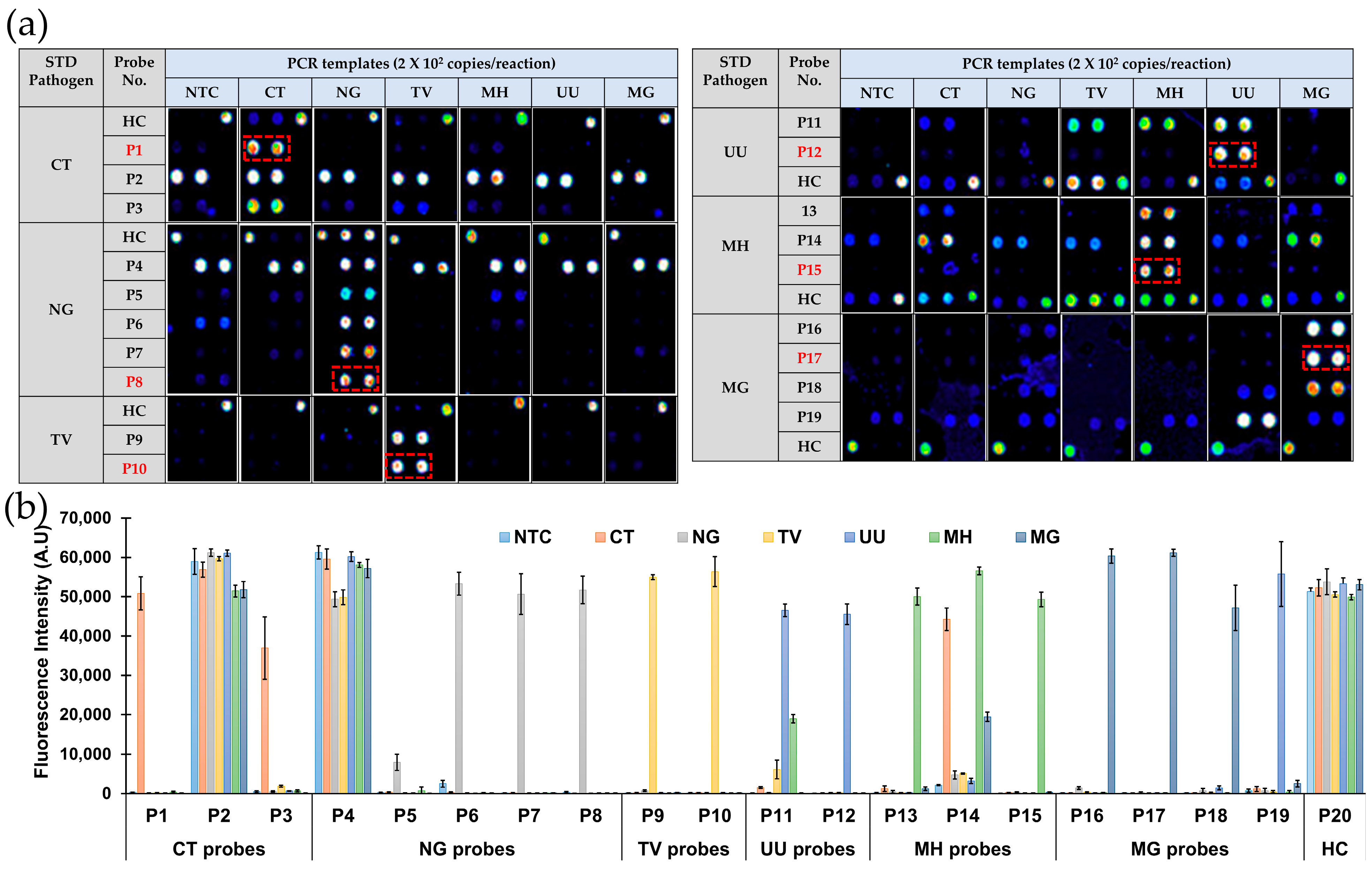 Biosensors 14 00260 g002 Biosensors 14 00260 g002