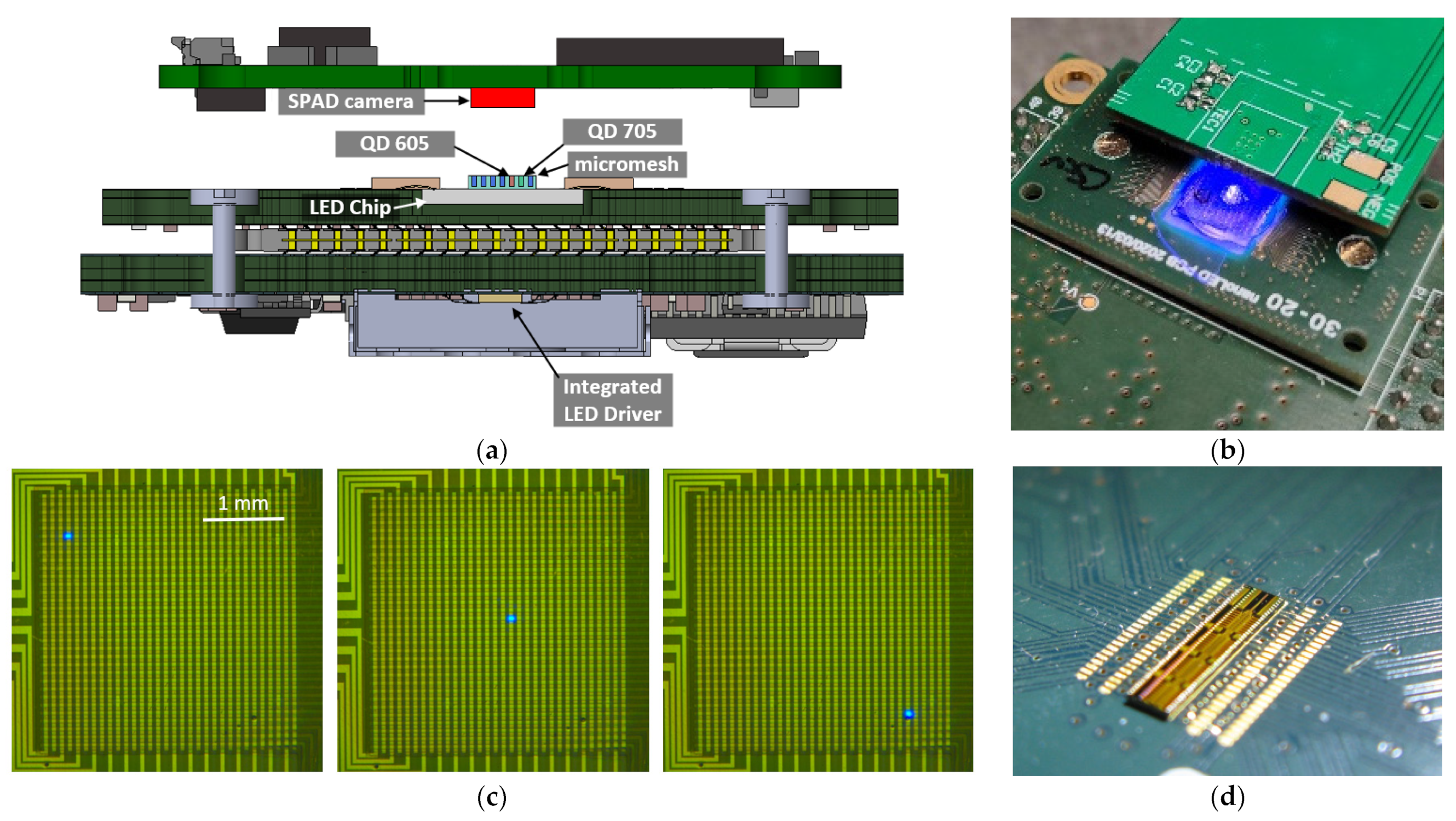 Biosensors 14 00264 g001 Biosensors 14 00264 g001