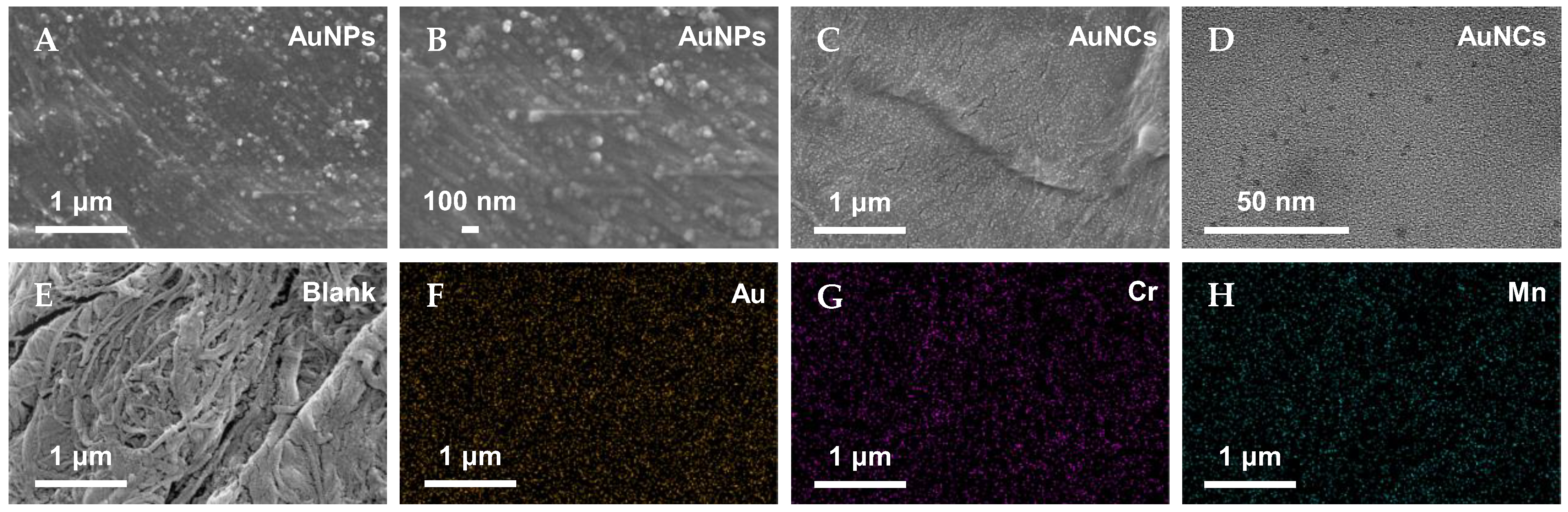Biosensors 14 00267 g005