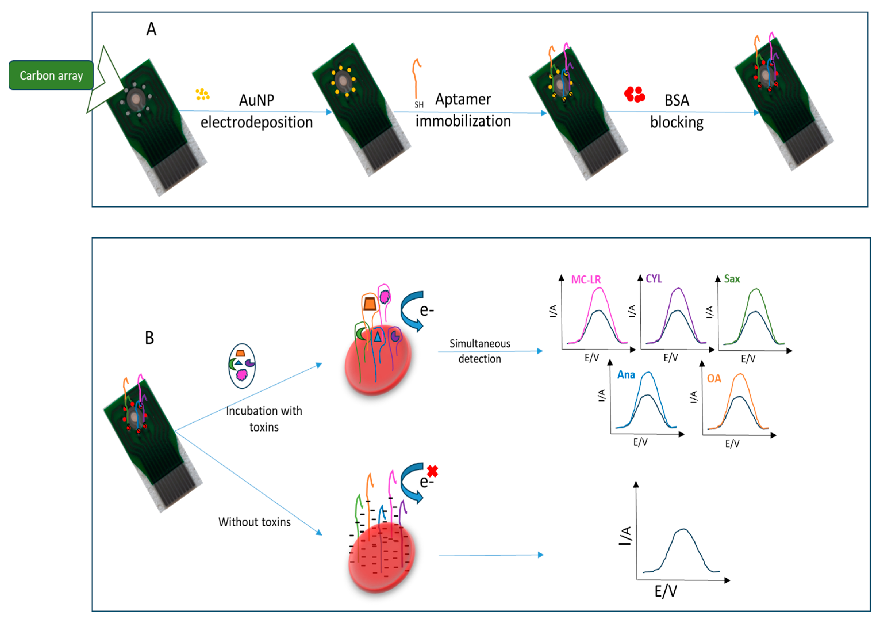 Biosensors 14 00268 sch001