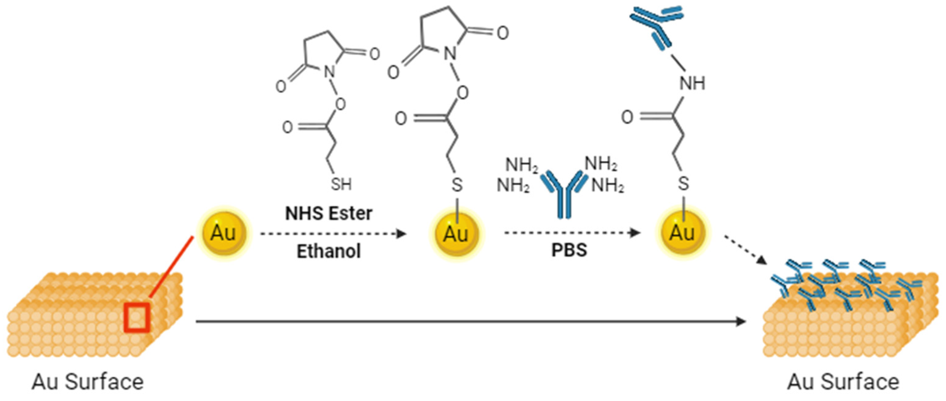 Biosensors 14 00281 g002