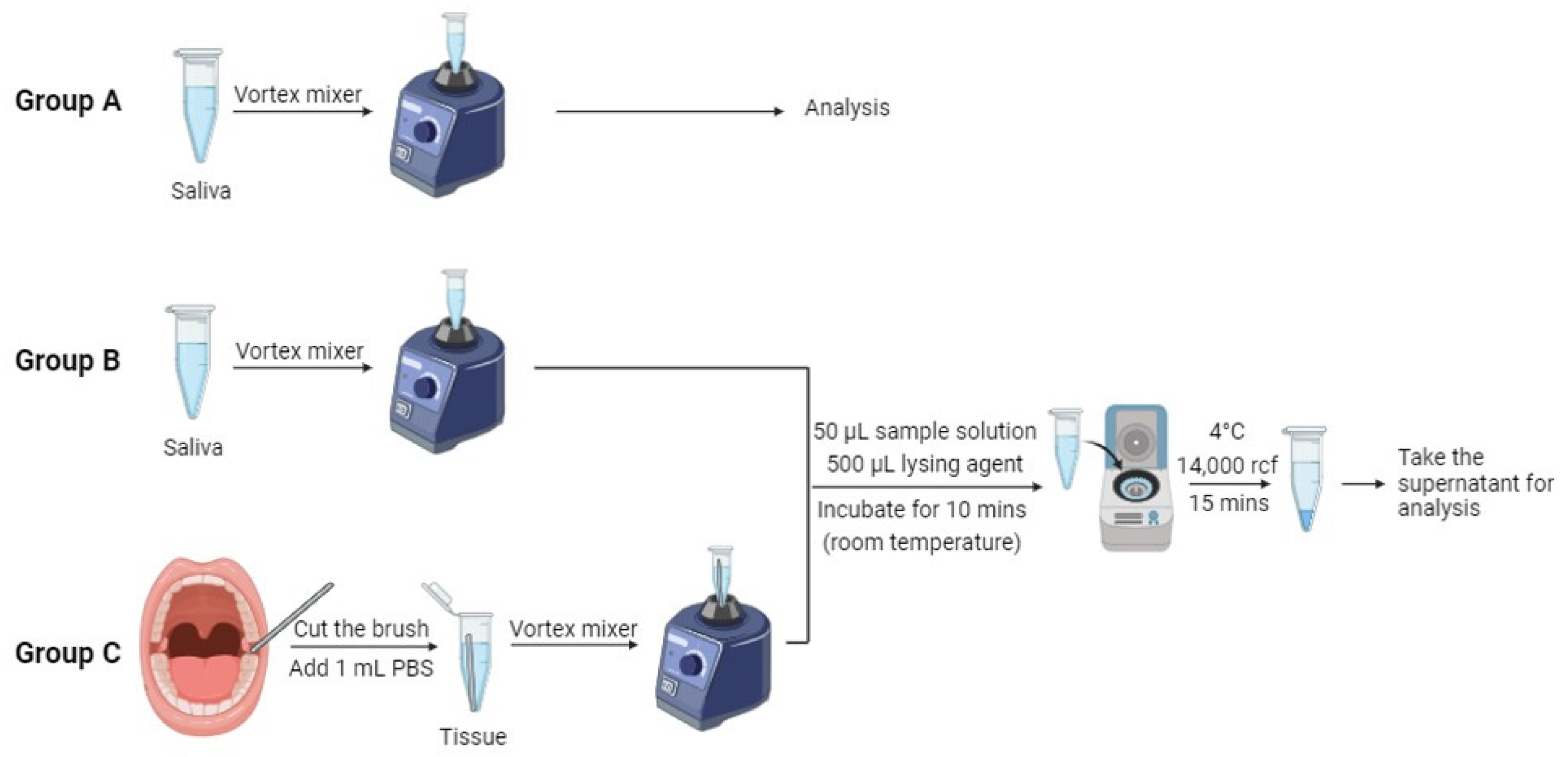 Biosensors 14 00281 g003