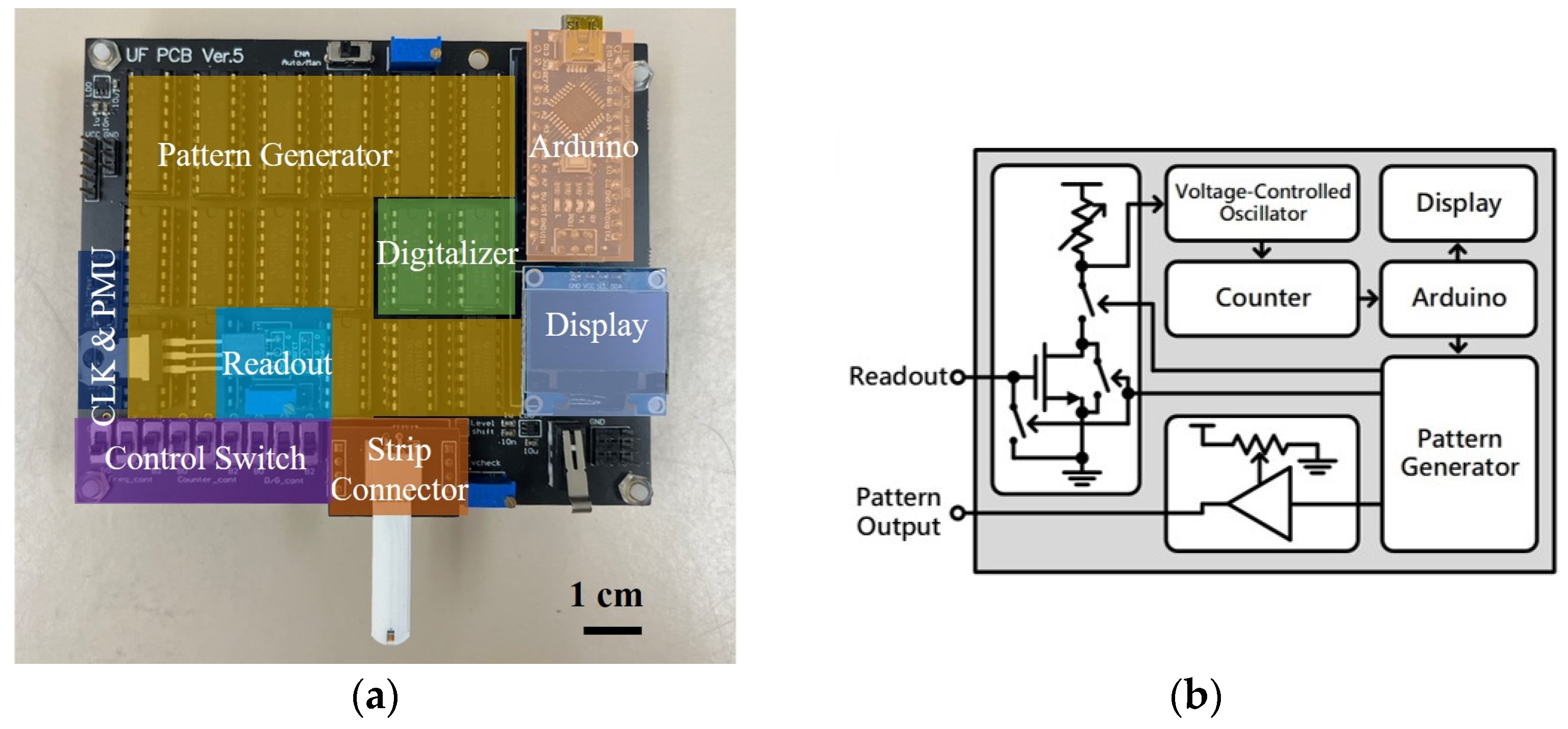 Biosensors 14 00281 g004