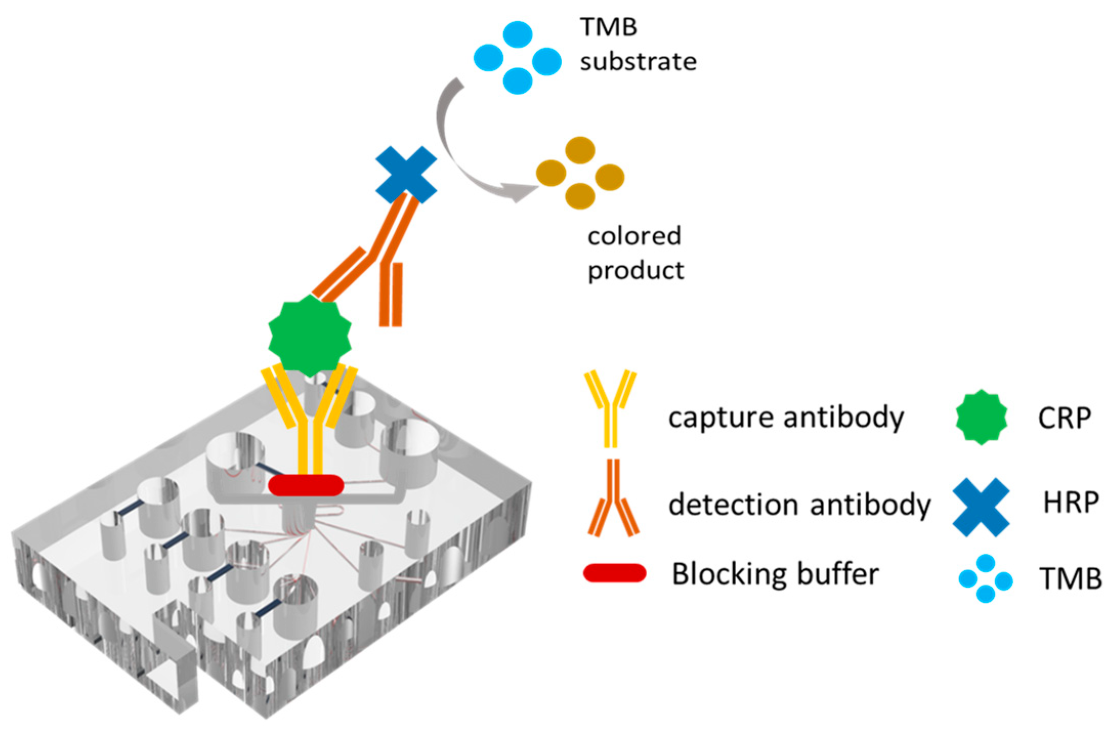 Biosensors 14 00283 g001