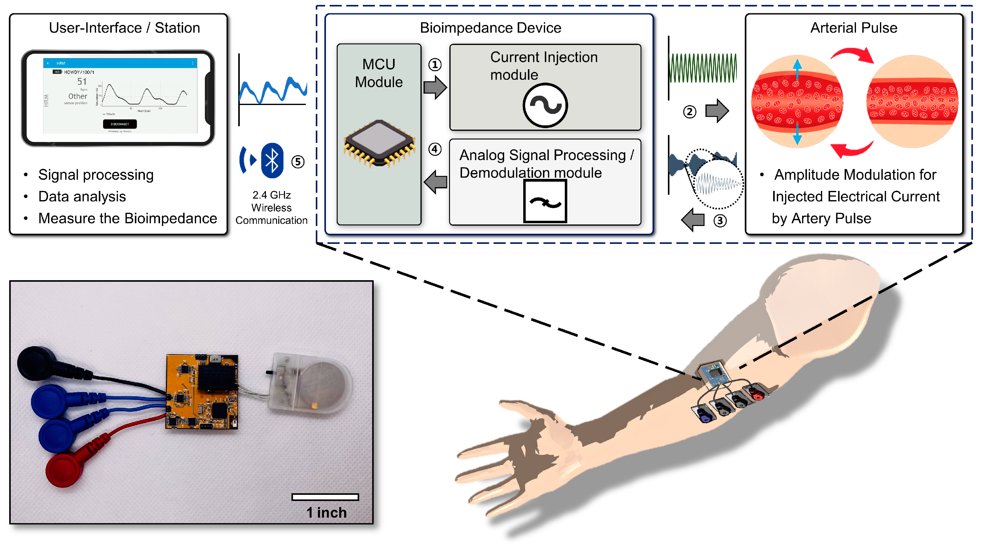 Biosensors 14 00286 g001