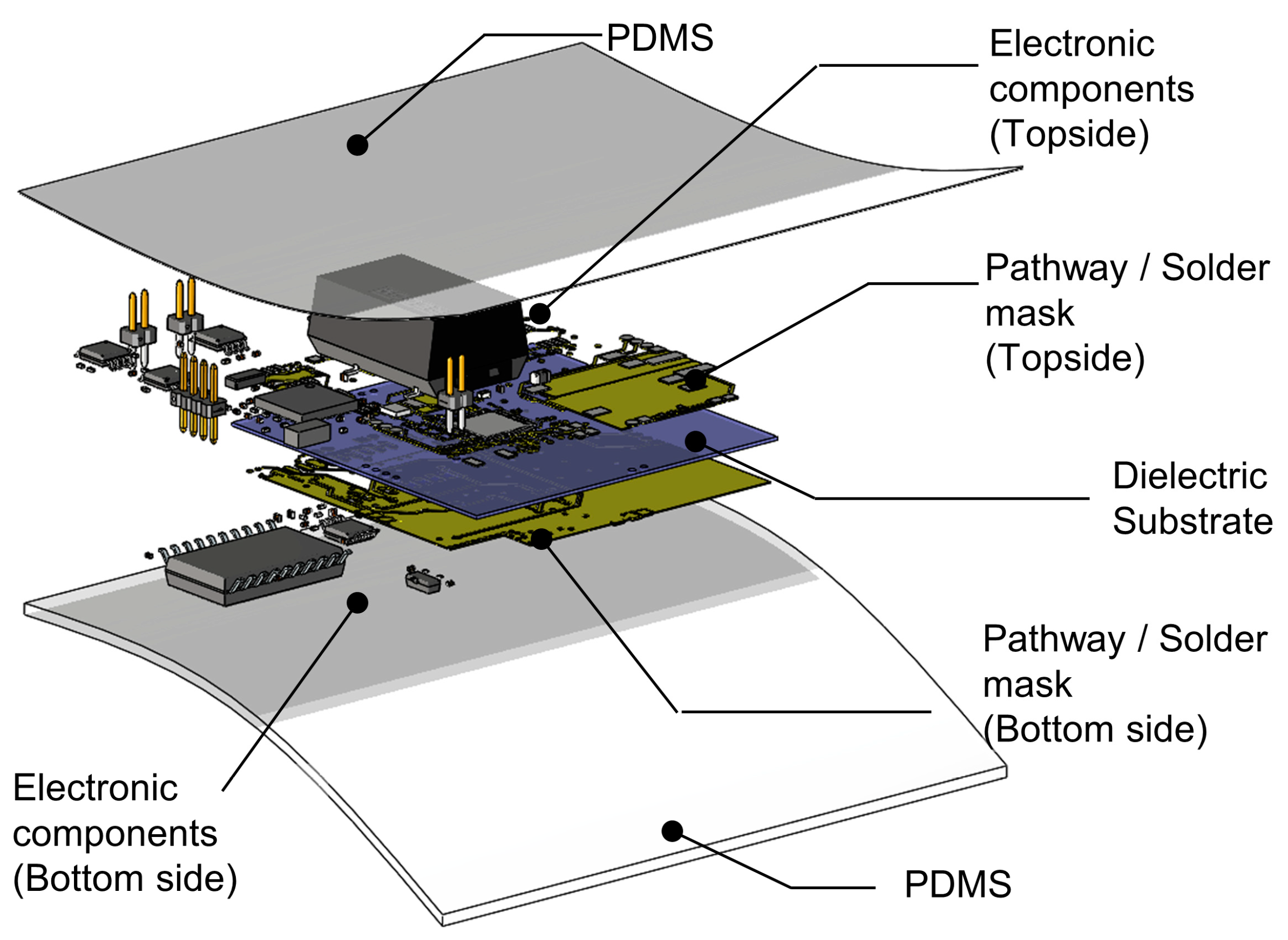 Biosensors 14 00286 g002