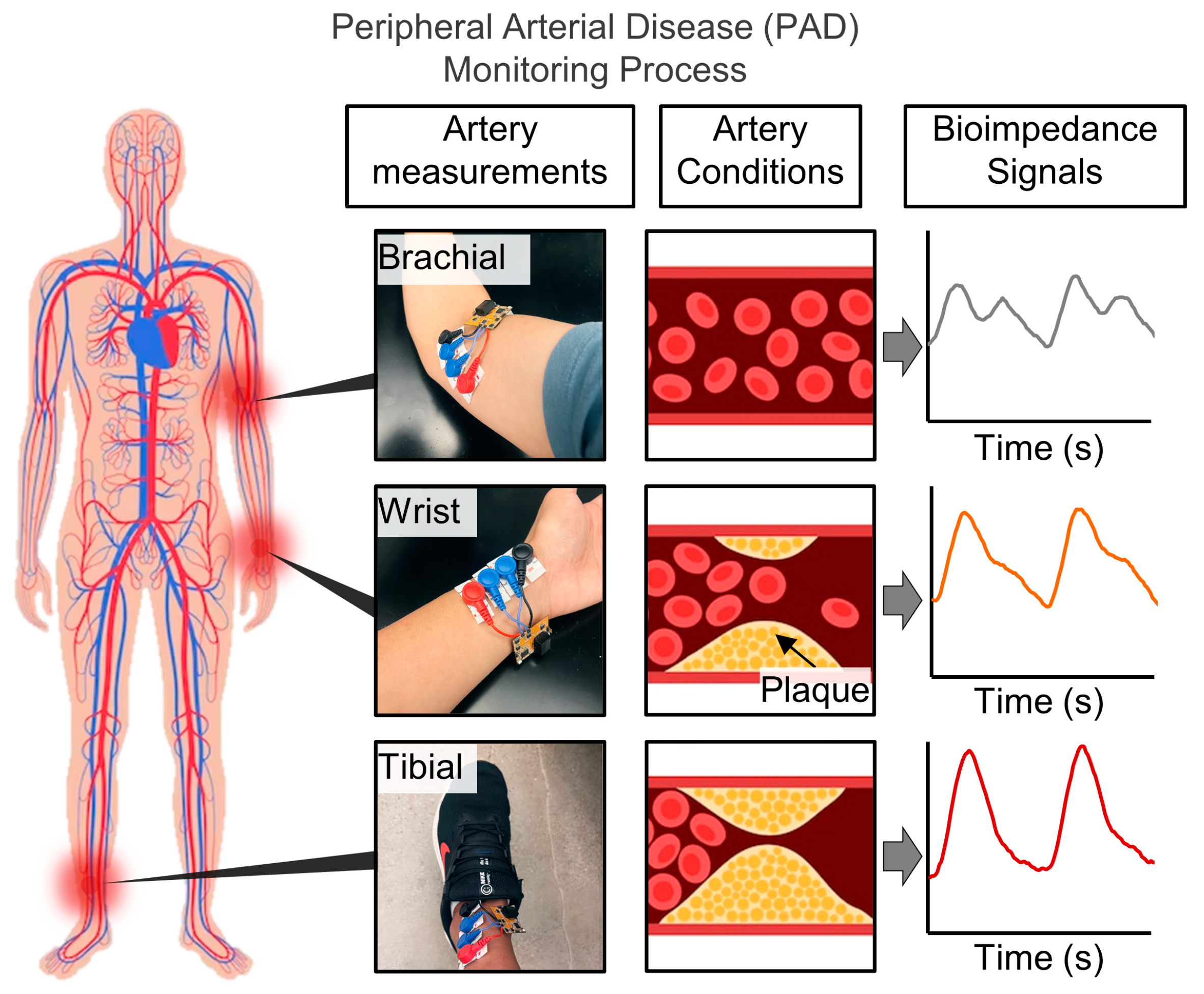 Biosensors 14 00286 g003