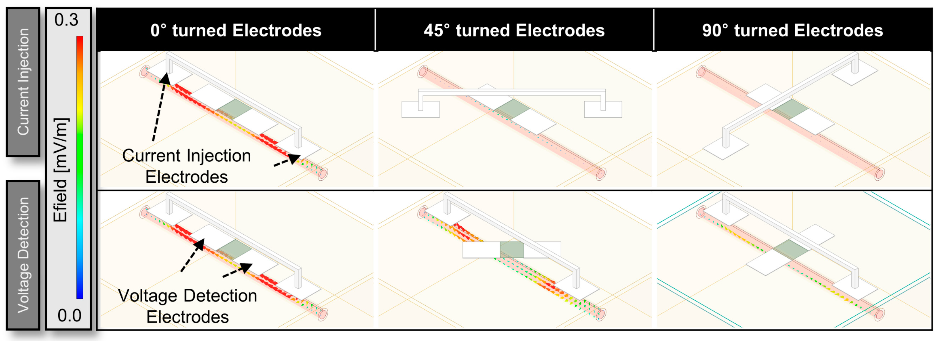 Biosensors 14 00286 g007