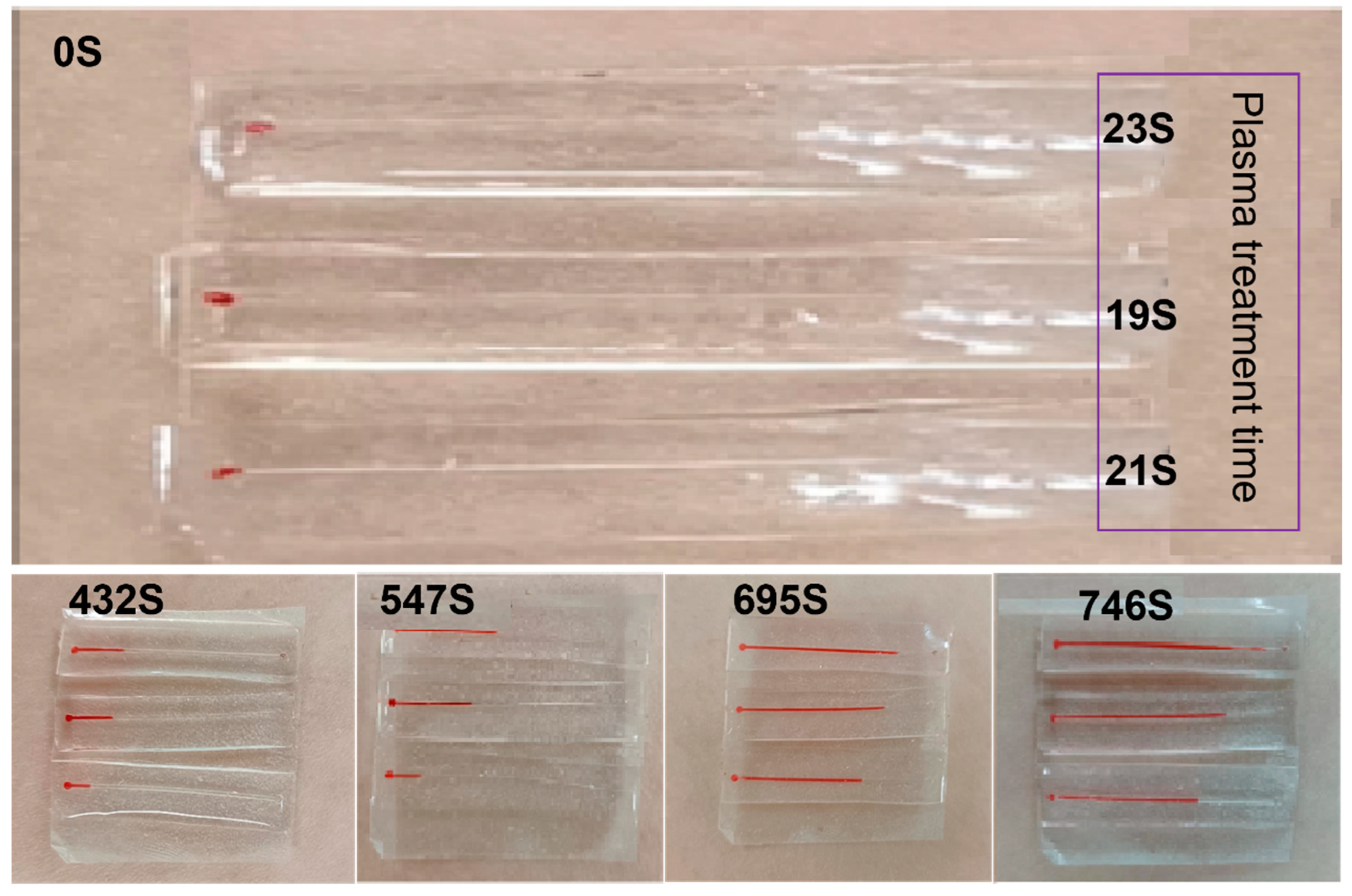Biosensors 14 00294 g004