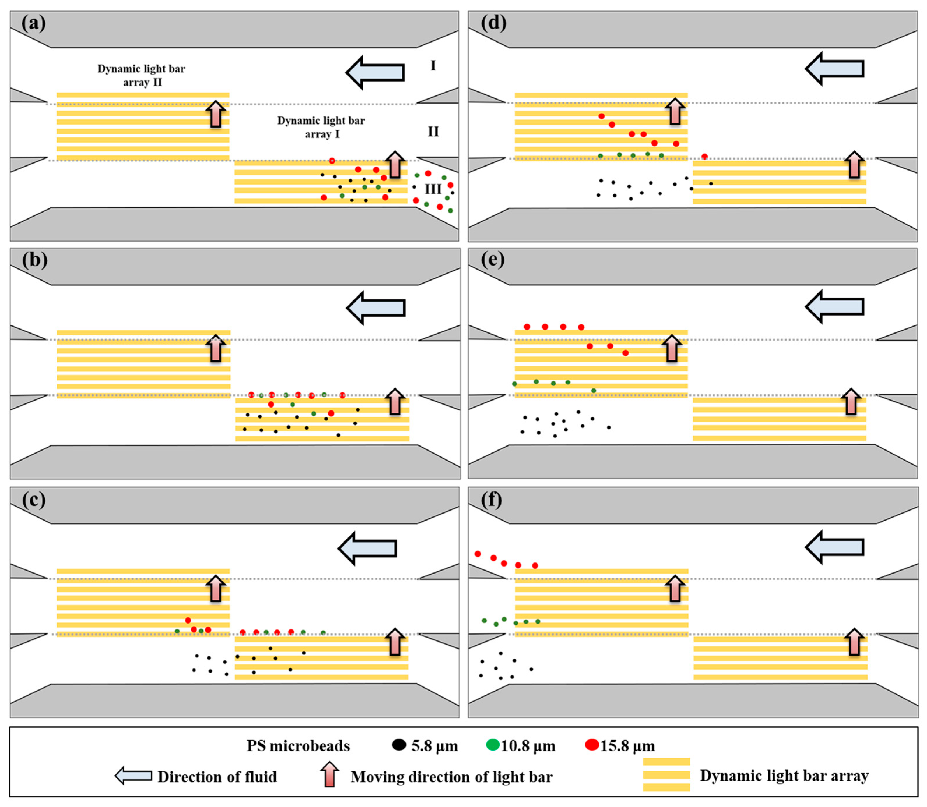 Biosensors 14 00297 g002