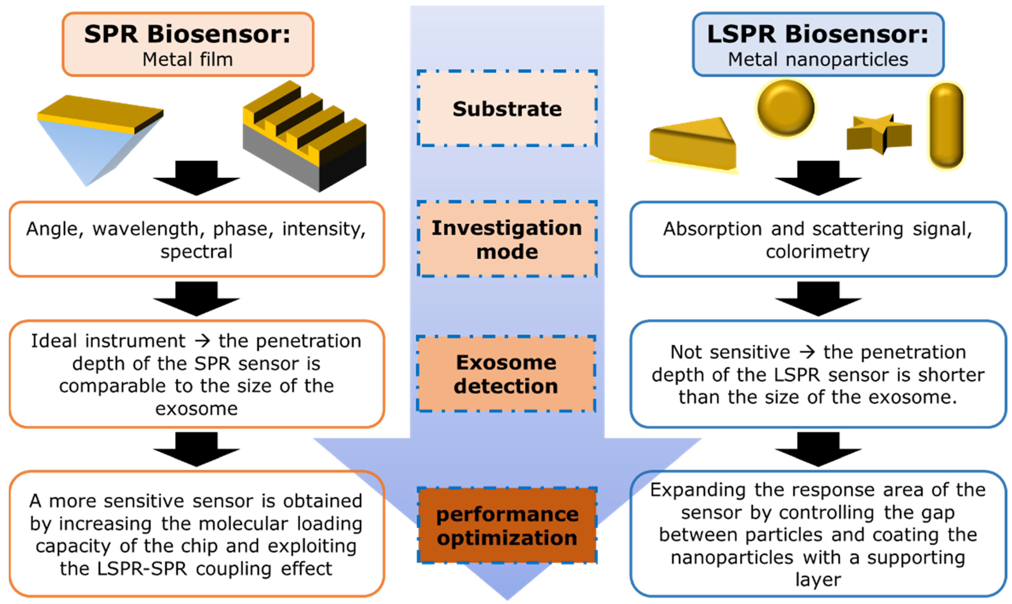 Biosensors 14 00307 g001