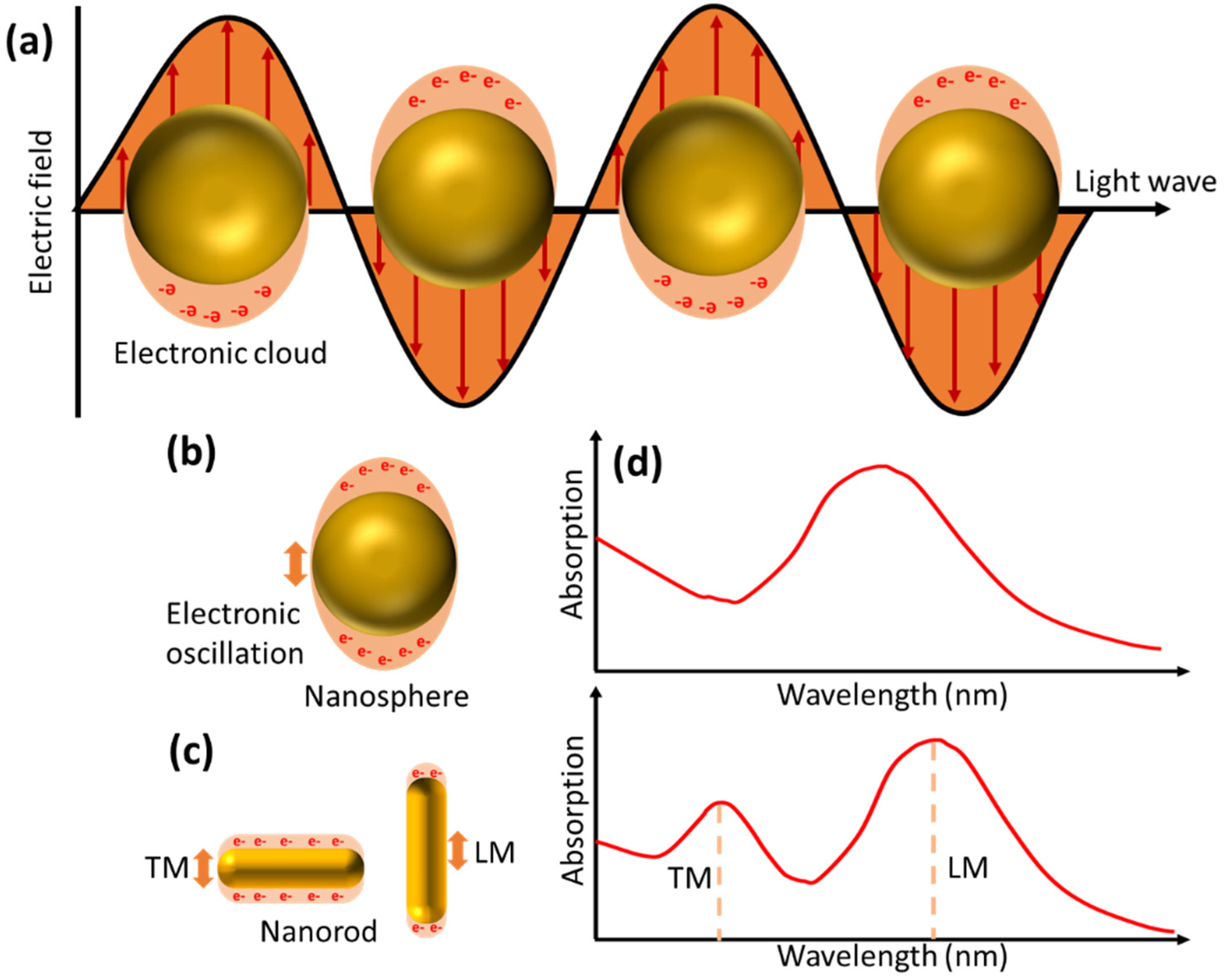 Biosensors 14 00307 g004