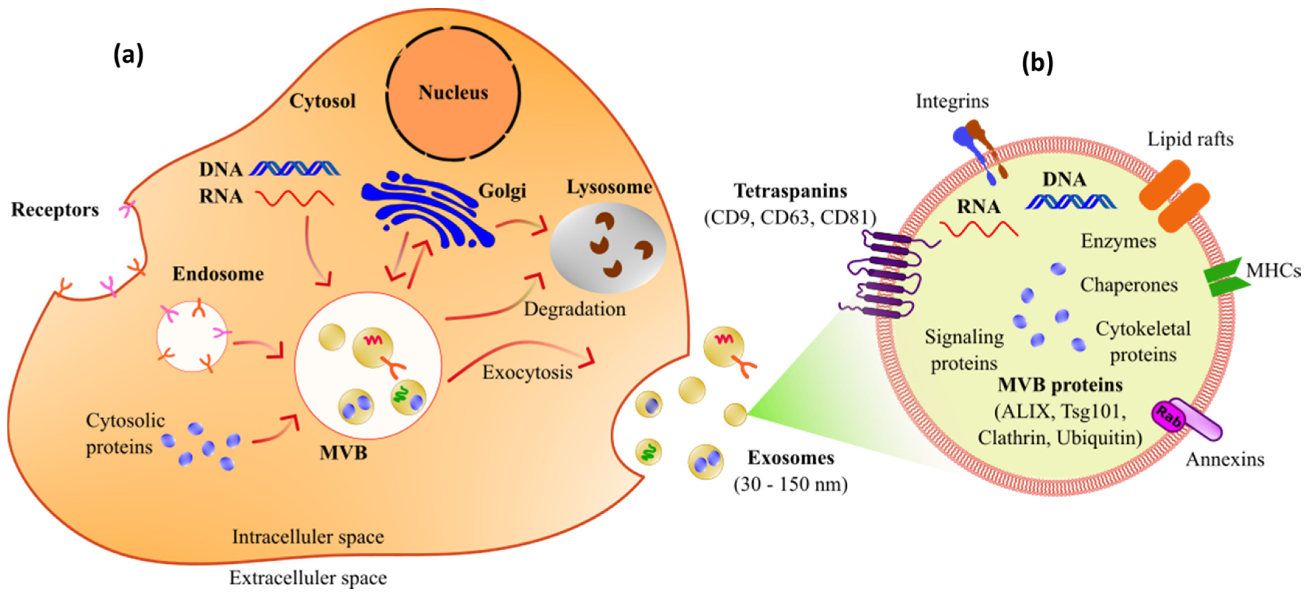 Biosensors 14 00307 g005