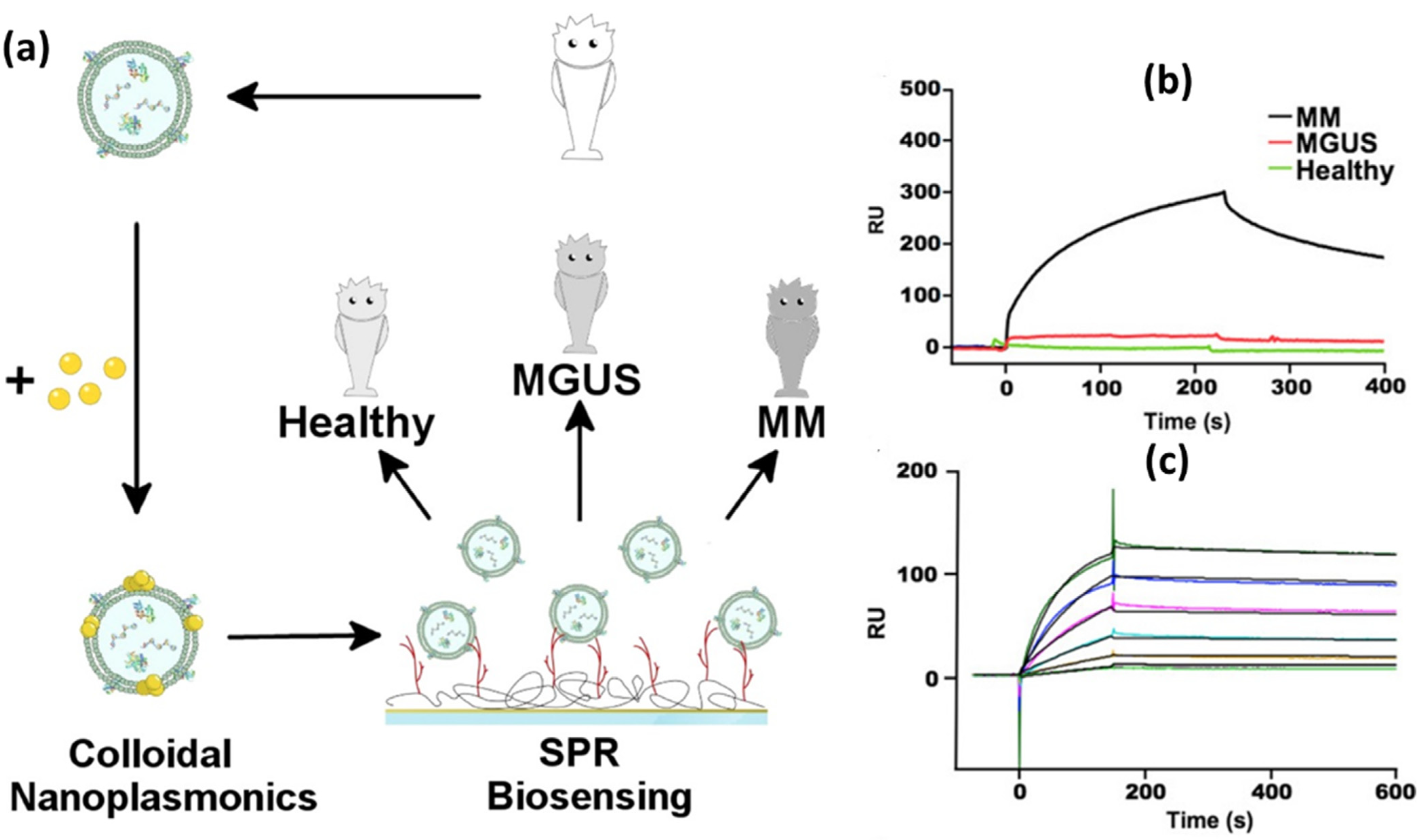 Biosensors 14 00307 g011