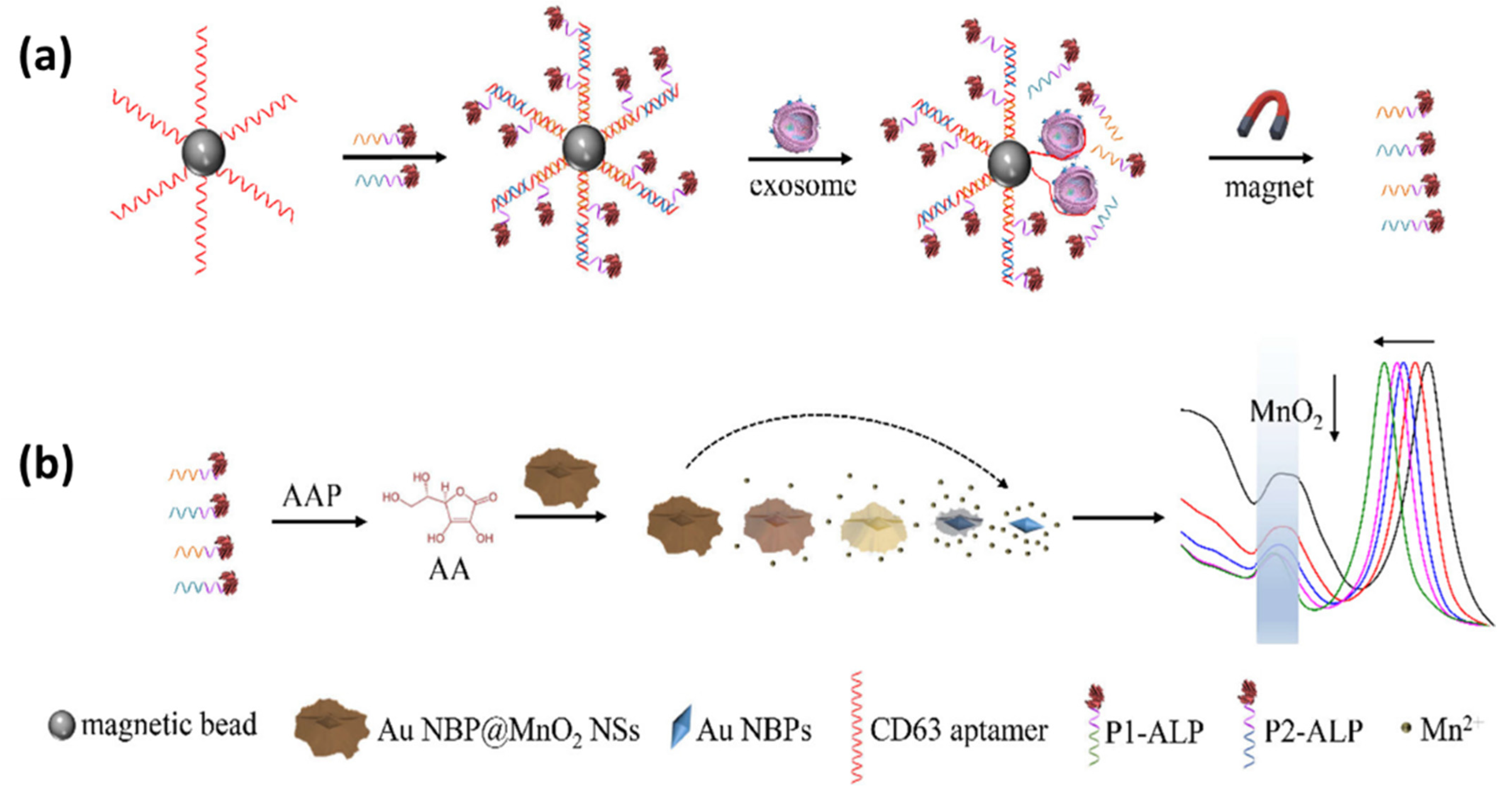 Biosensors 14 00307 g016
