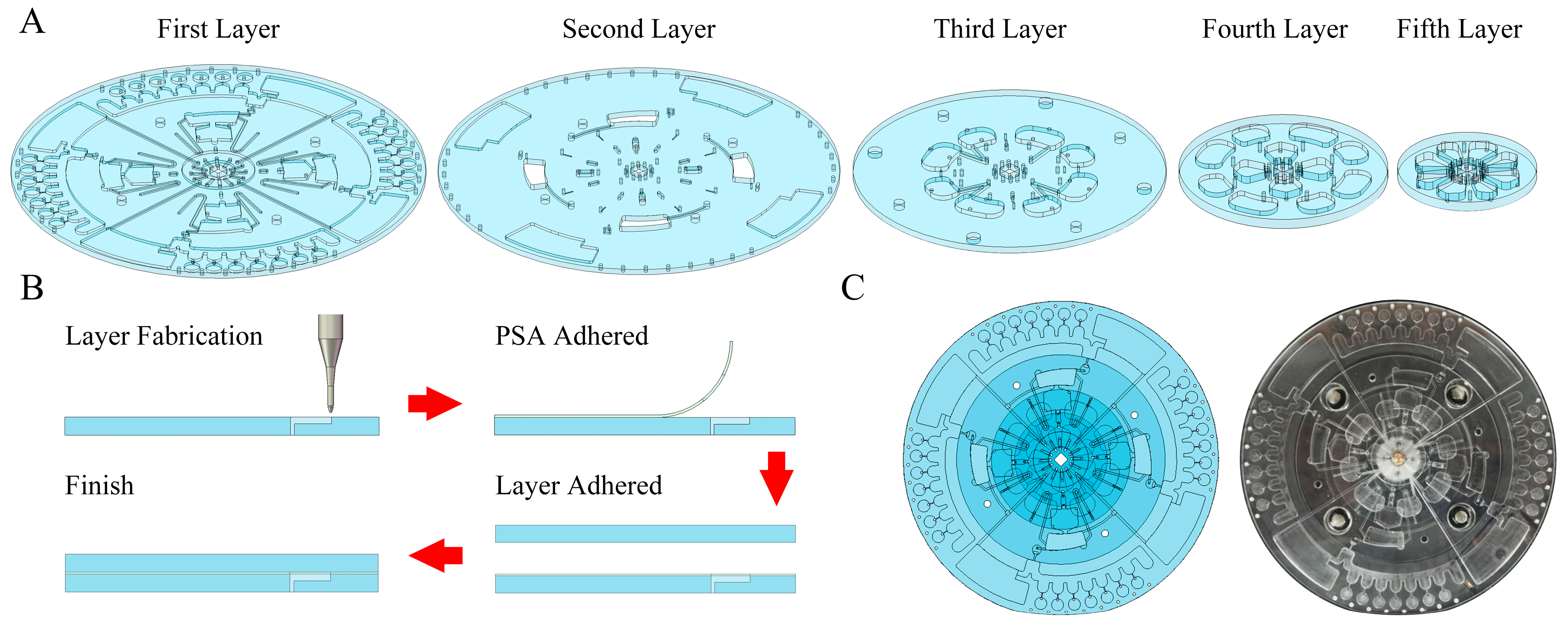 Biosensors 14 00313 g001