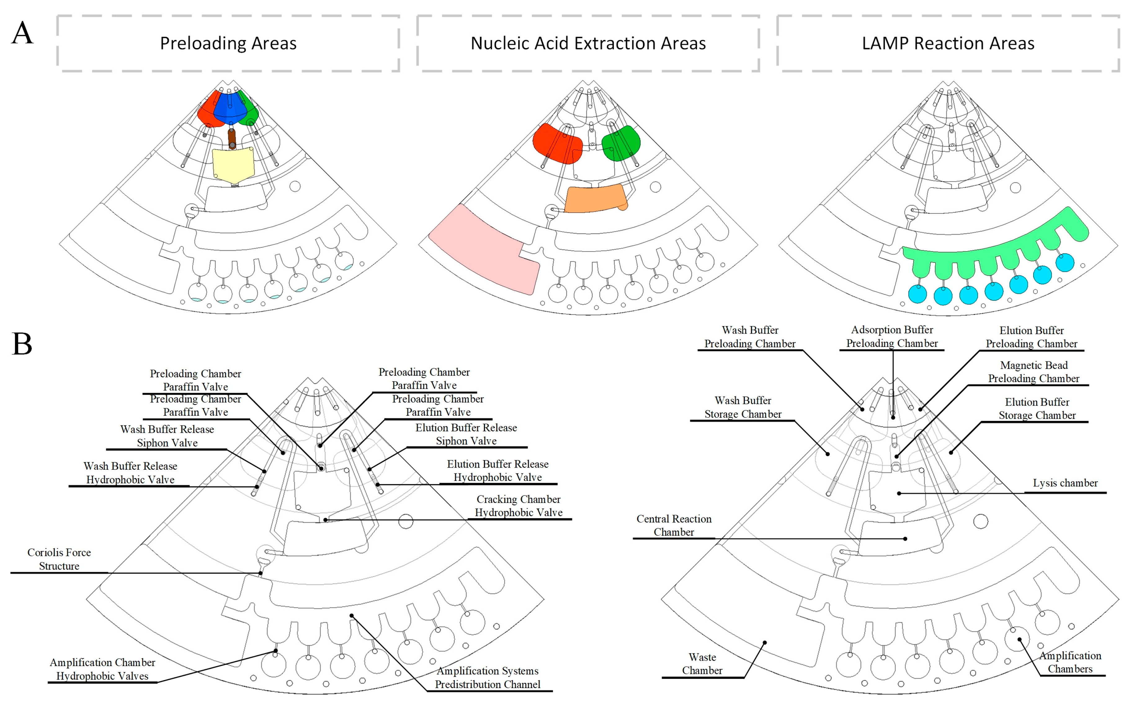 Biosensors 14 00313 g003