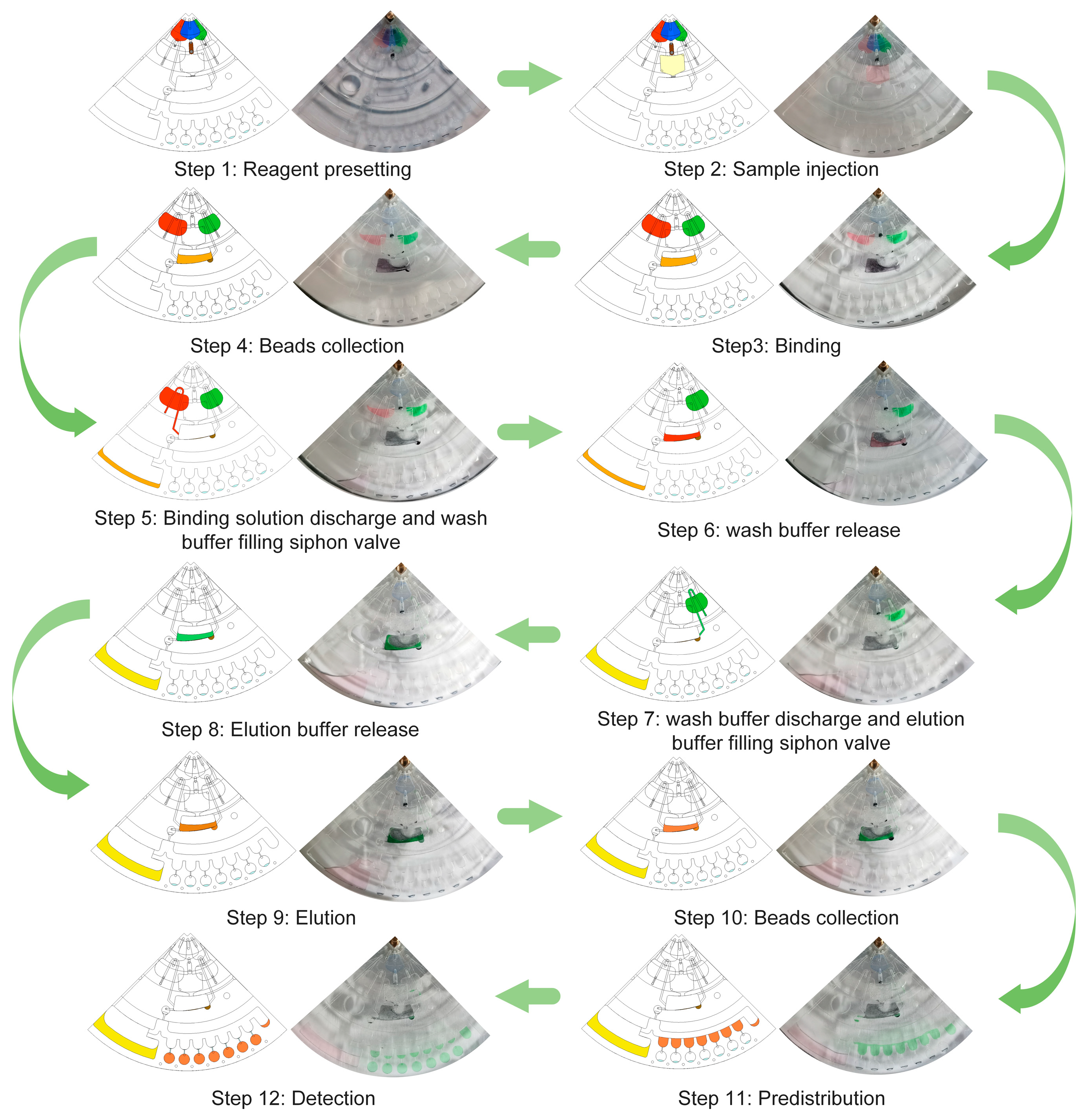 Biosensors 14 00313 g004