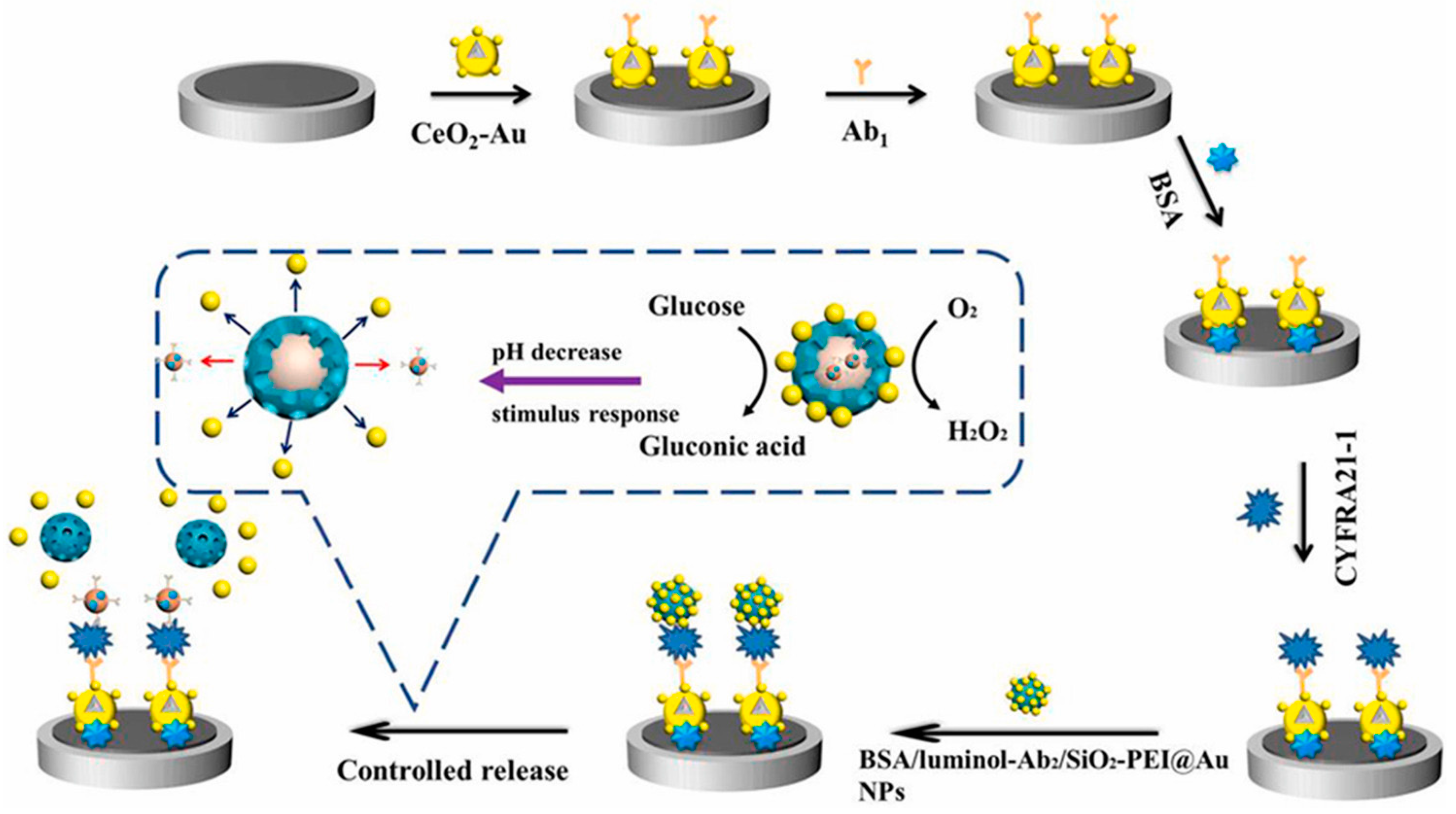 Biosensors 14 00326 g001