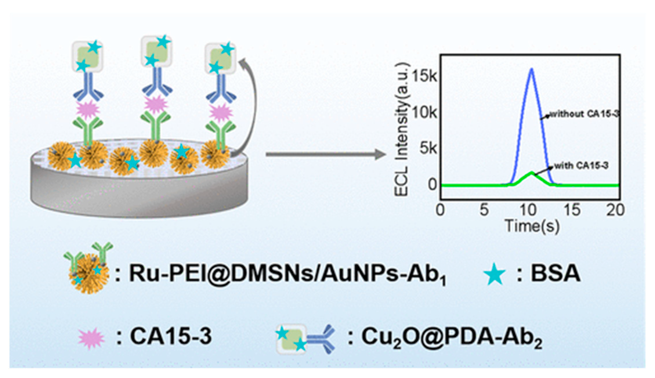 Biosensors 14 00326 g003