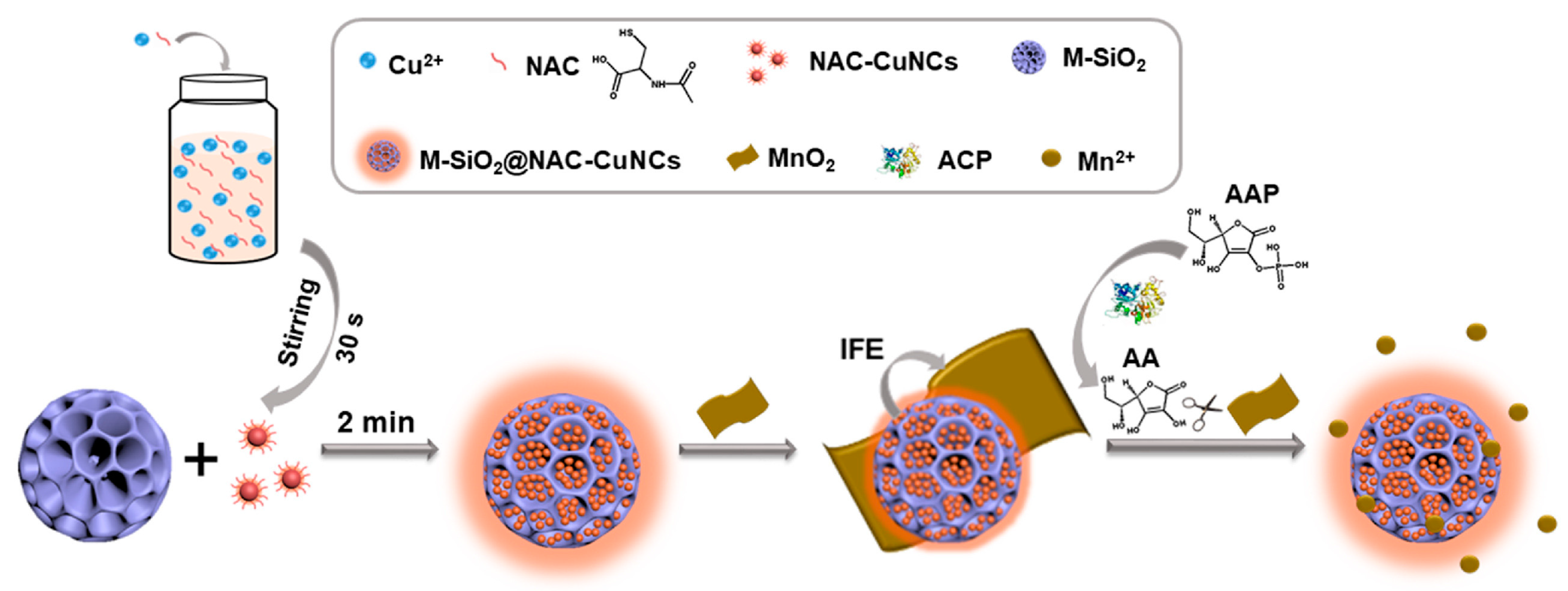 Biosensors 14 00326 g004