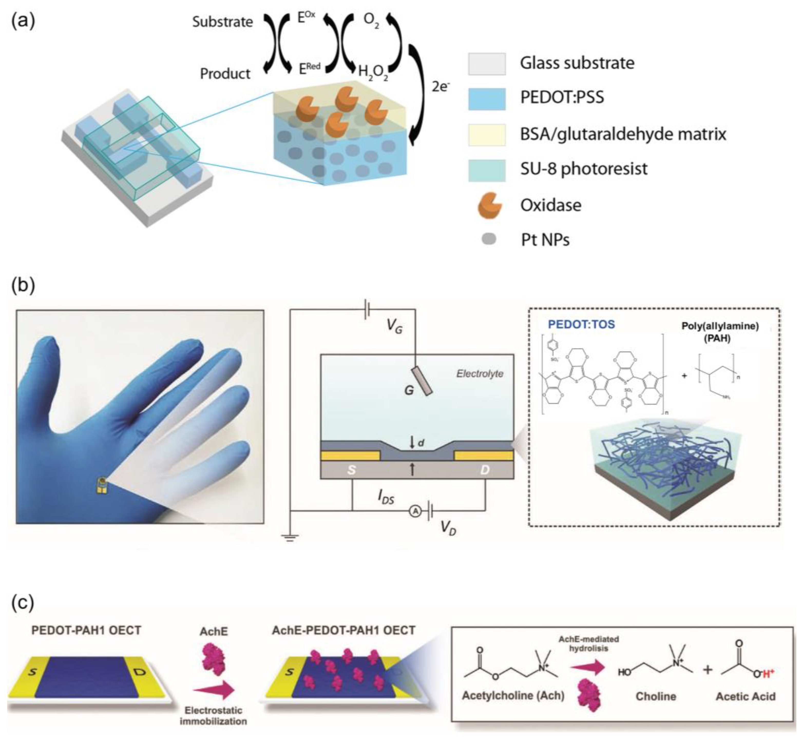 Biosensors 14 00330 g004