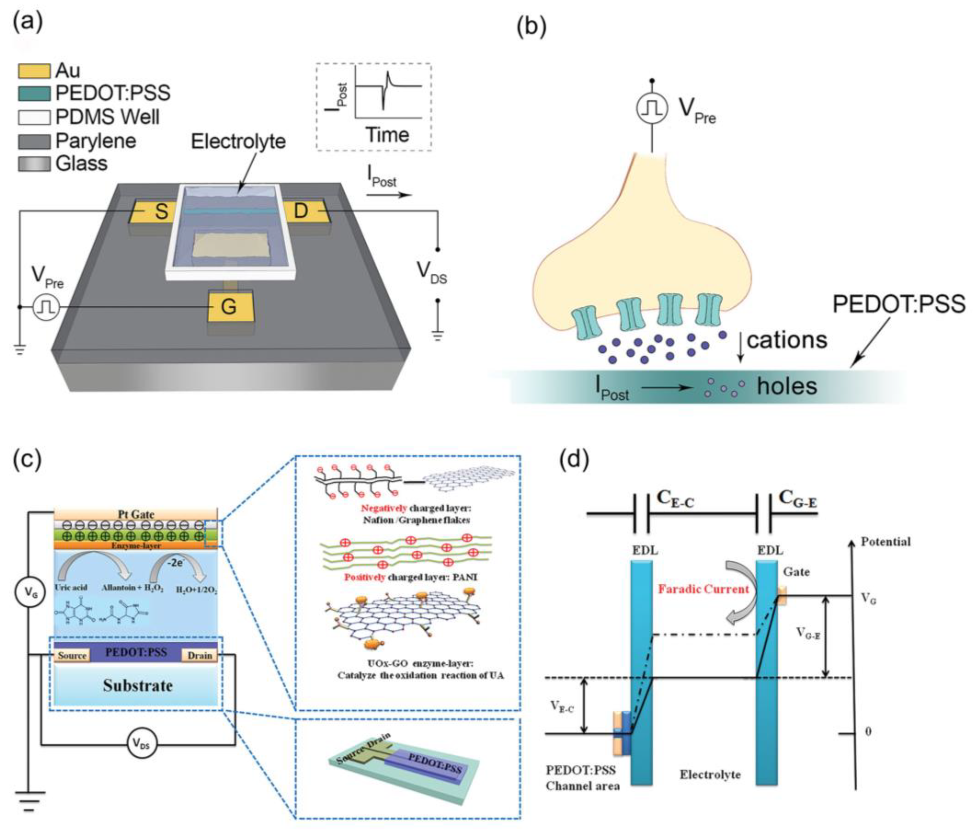 Biosensors 14 00330 g005