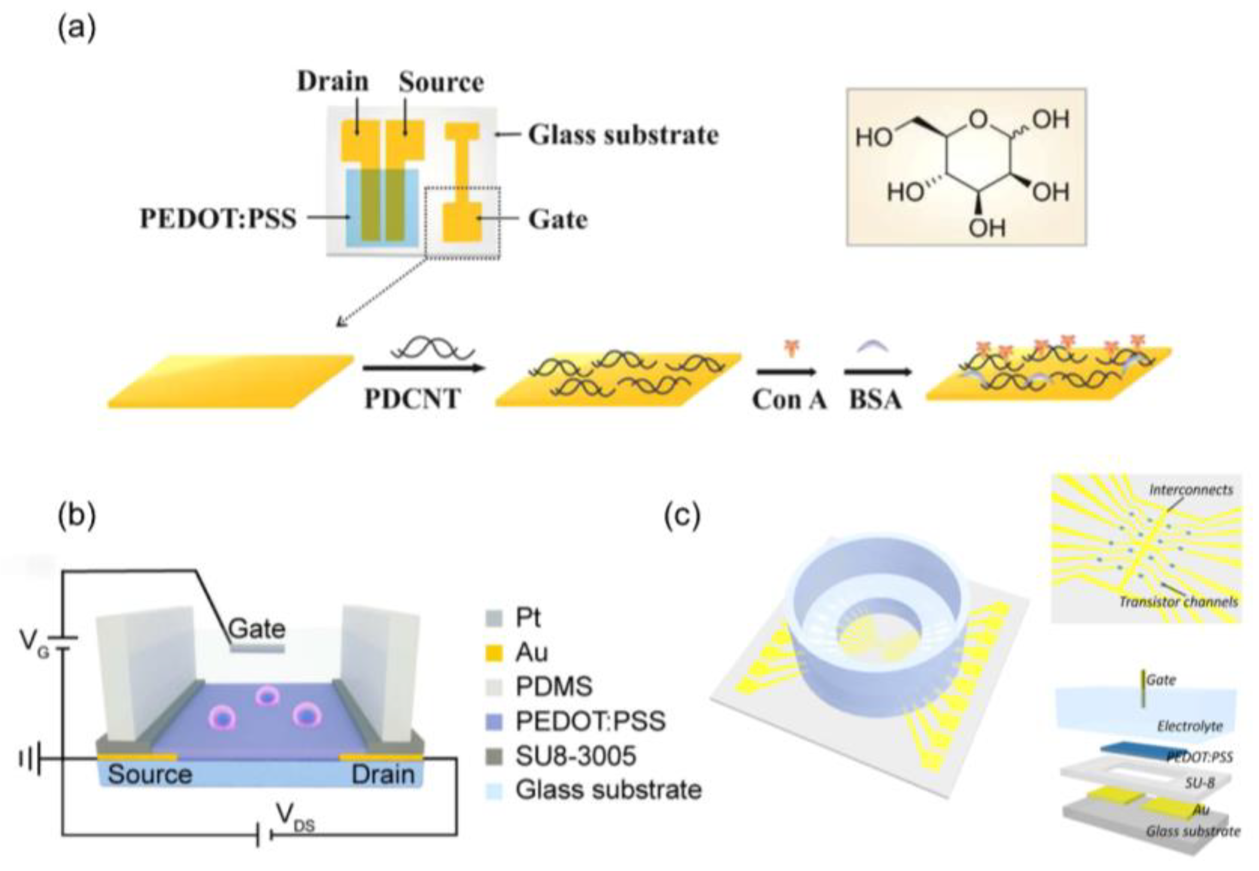 Biosensors 14 00330 g008