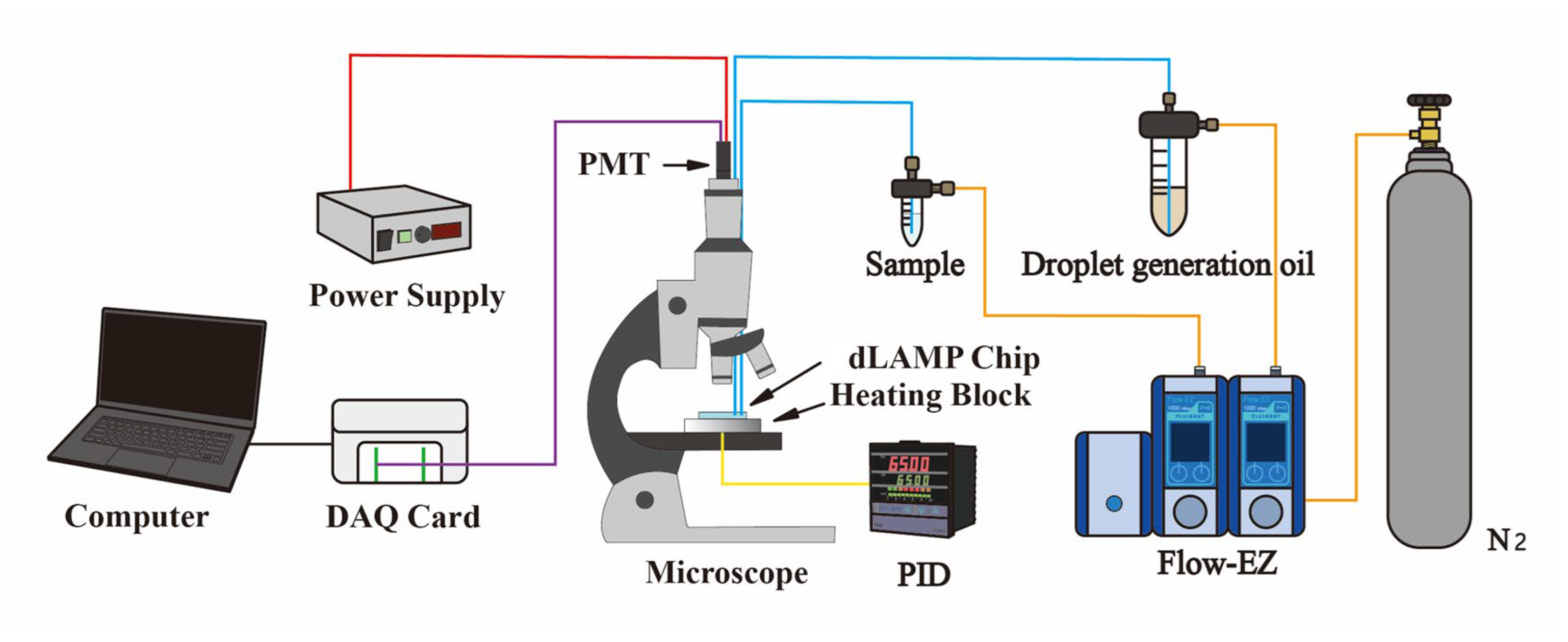 Biosensors 14 00334 g002