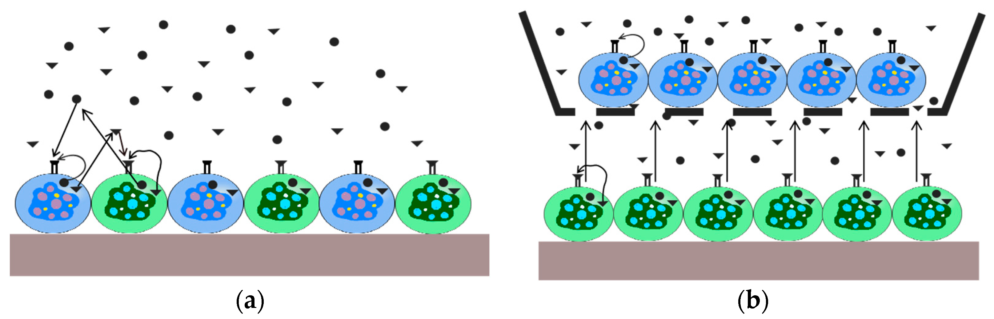 Biosensors 14 00336 g001 Biosensors 14 00336 g001