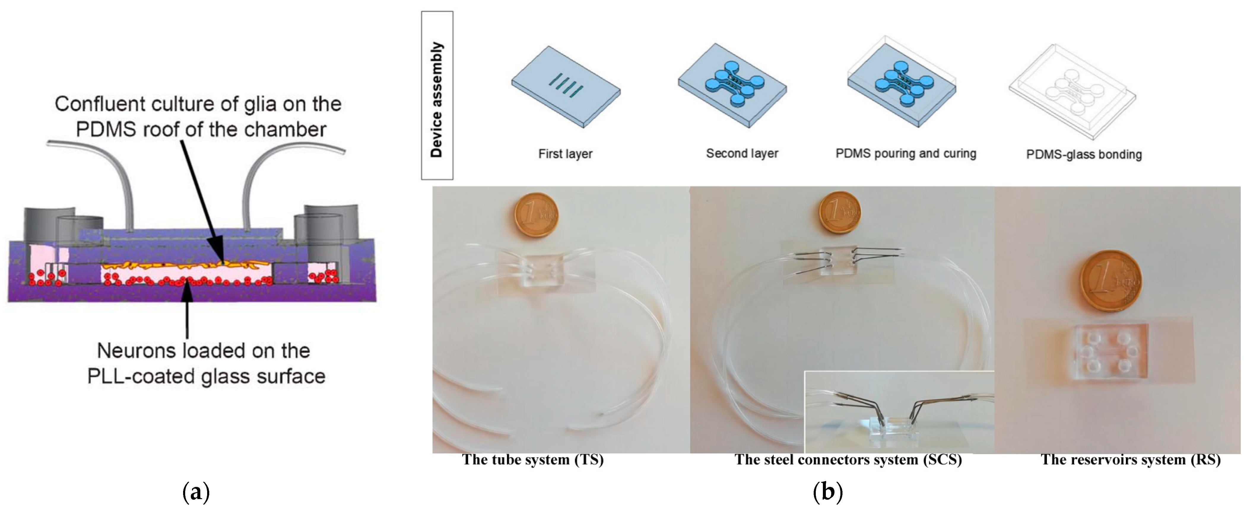 Biosensors 14 00336 g003 Biosensors 14 00336 g003