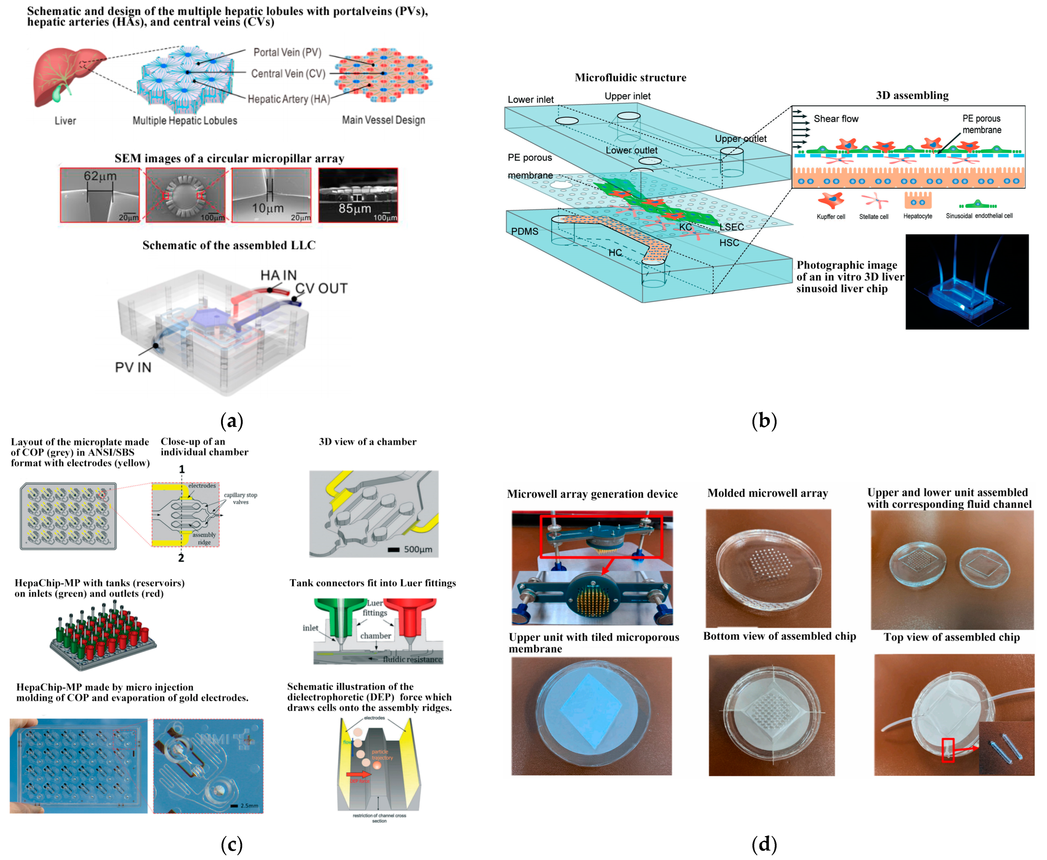 Biosensors 14 00336 g007 Biosensors 14 00336 g007