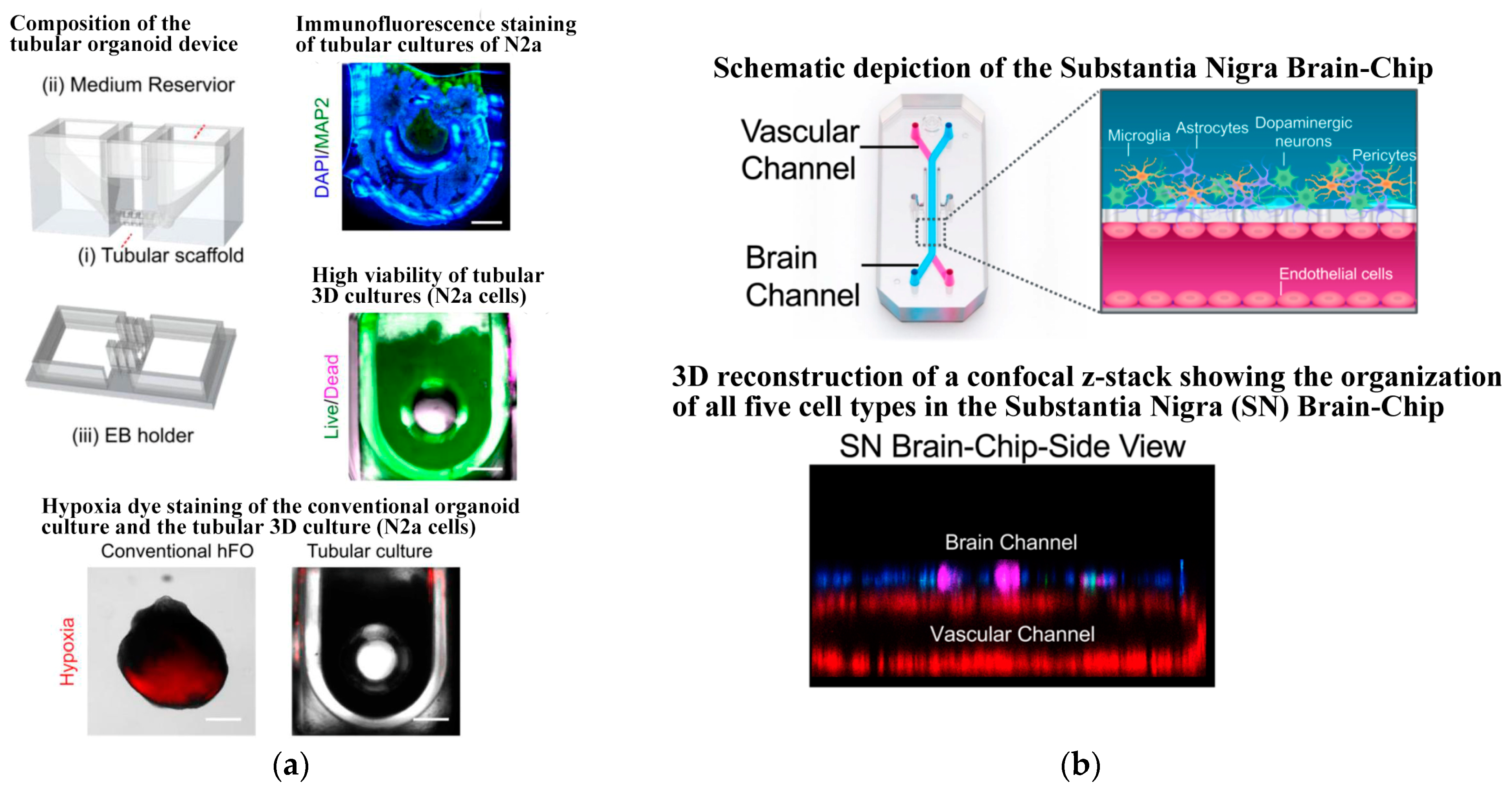 Biosensors 14 00336 g009 Biosensors 14 00336 g009
