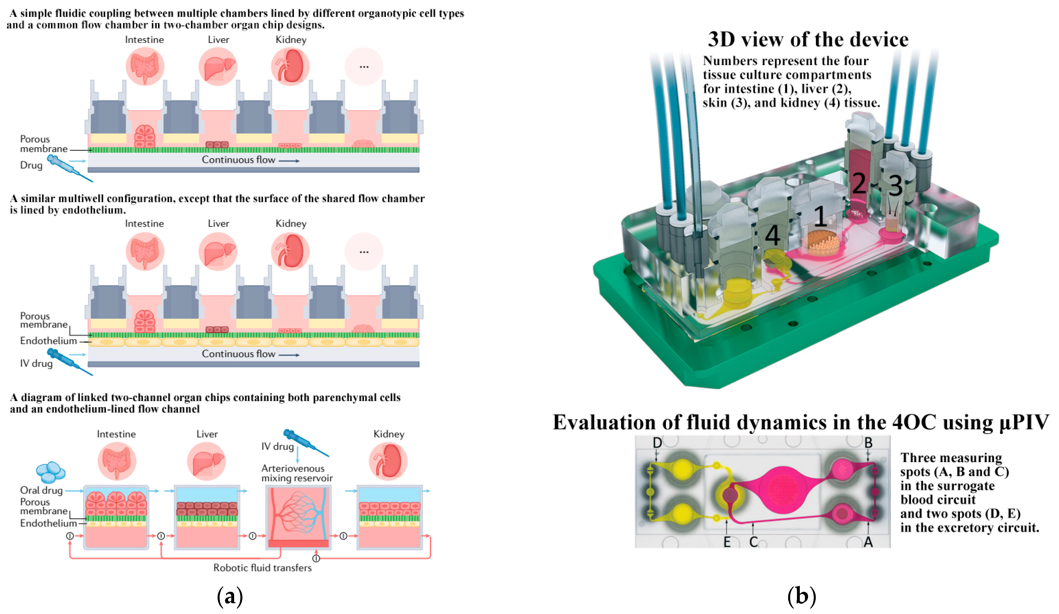 Biosensors 14 00336 g011 Biosensors 14 00336 g011